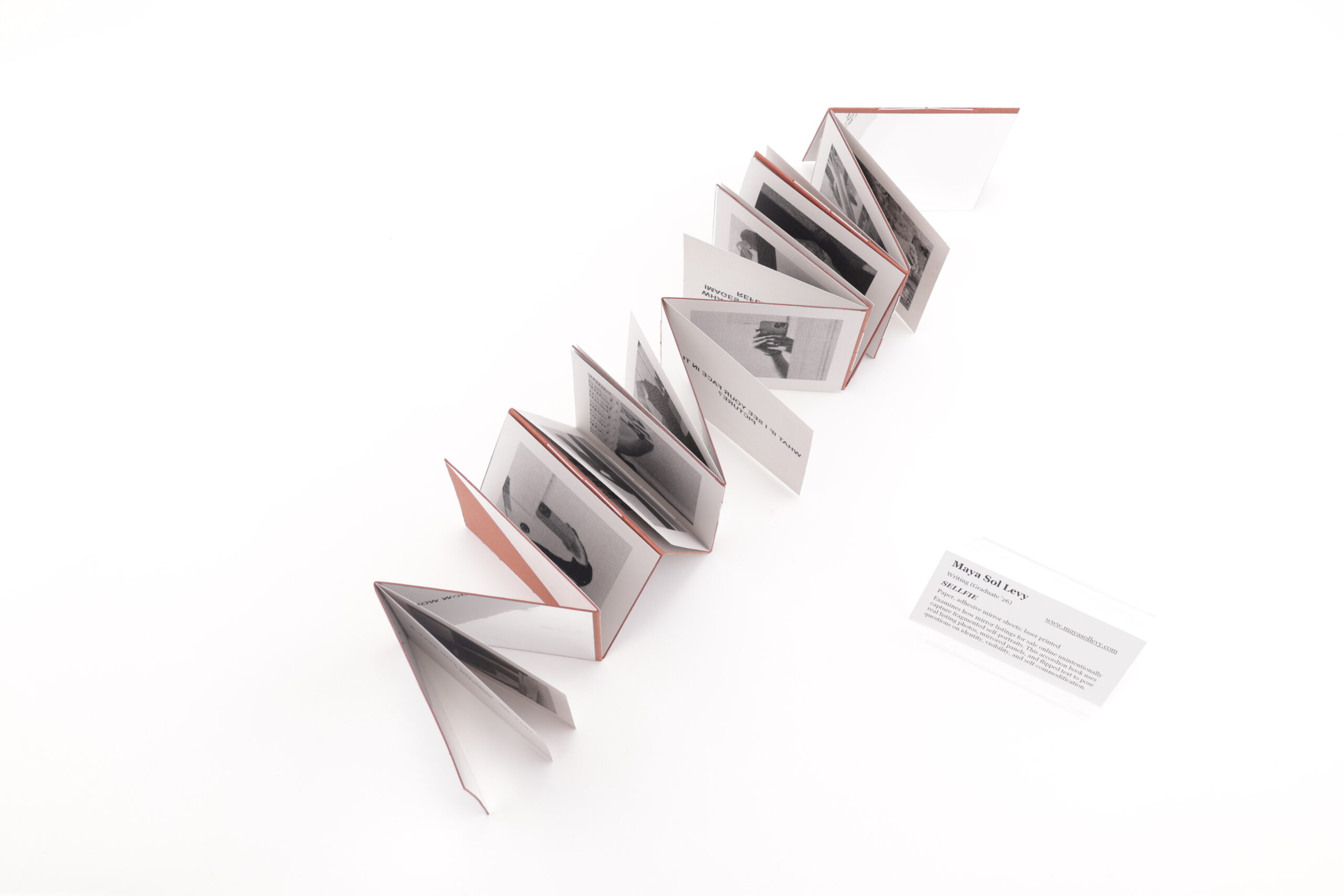 Extended accordion artist book arranged diagonally on a white surface, showing alternating red covers and interior pages with grayscale images and text, accompanied by a small printed artist information card placed to the right.