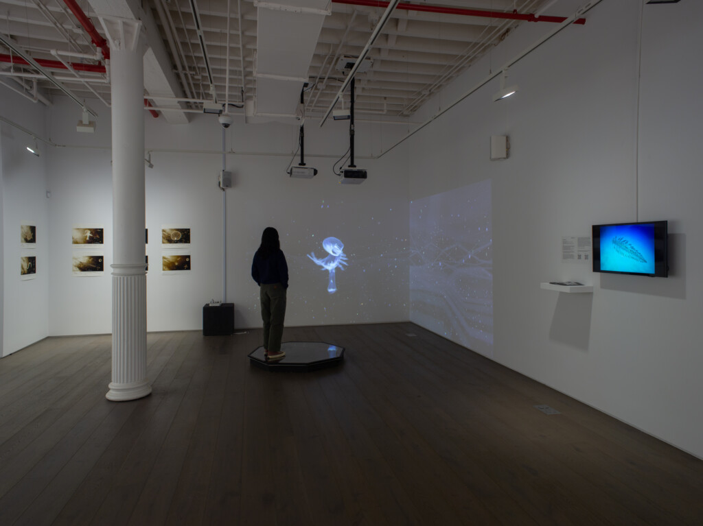 woman in the corner of a gallery, viewing artwork, with video artwork and installations in the room