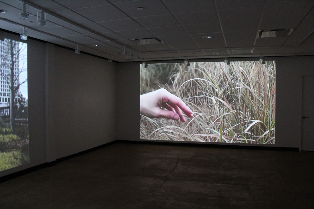 dark room with movie projection, depicting hand reaching out to tall grass