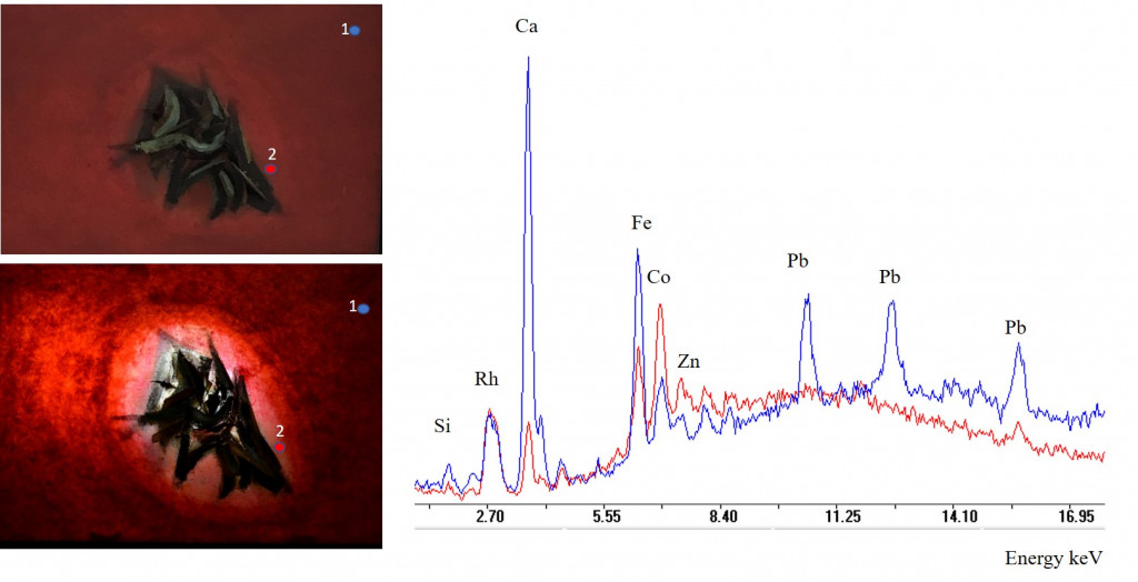 graphs showing the molecular information about a Licio Isolani painting