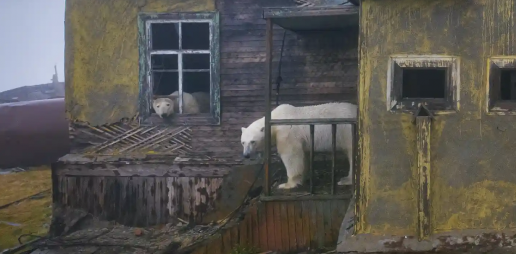 Projects School of Liberal Arts and Sciences