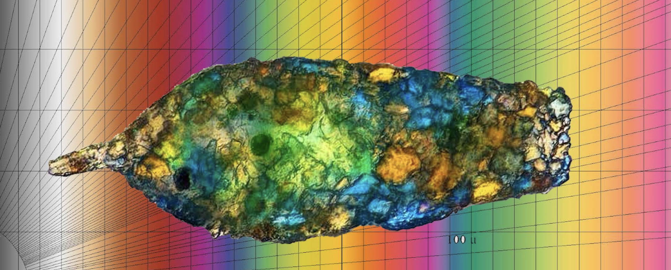color spectrum with specimen overlaid