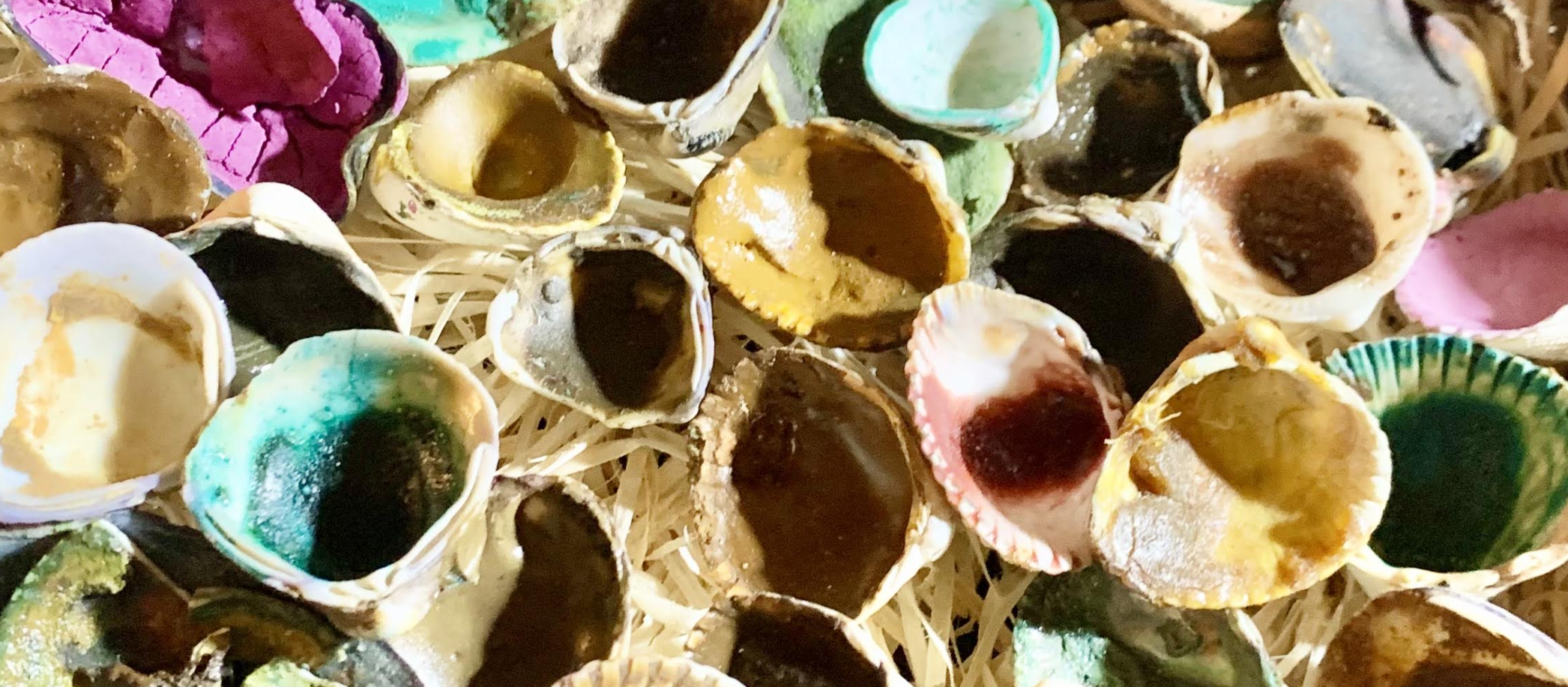seashells filled with paint pigment