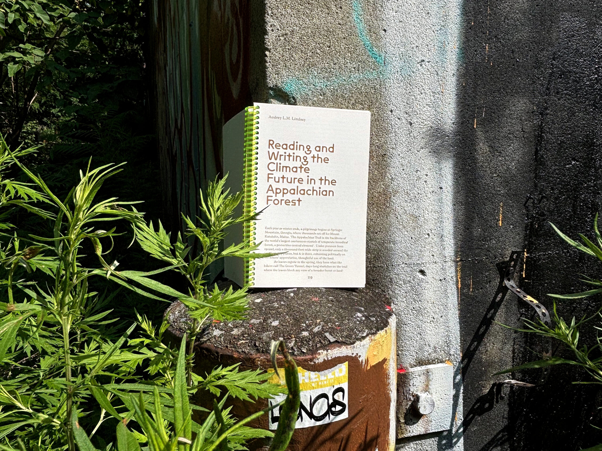 book open to page resting on concrete block