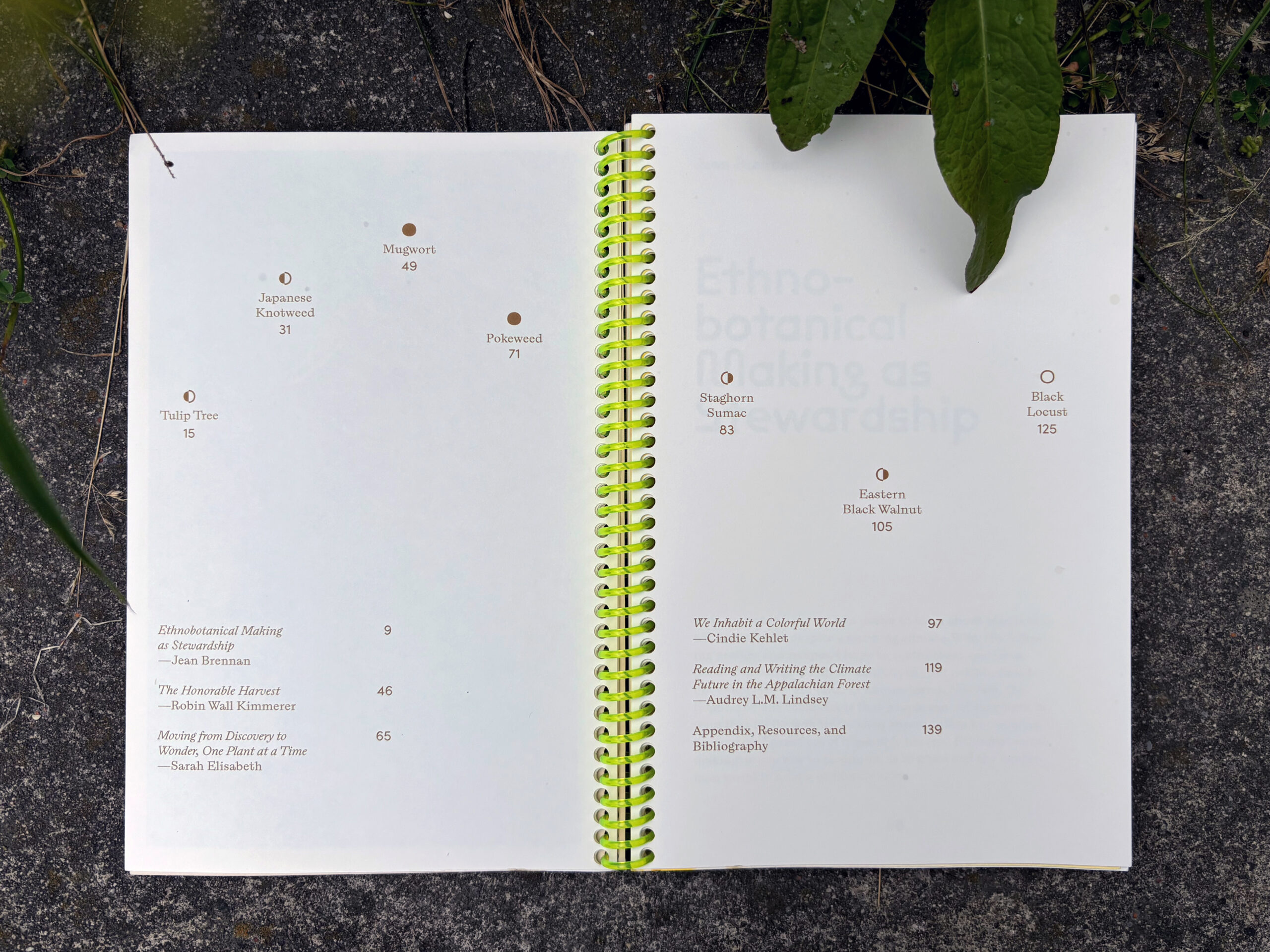 book open to pages showing table of contents