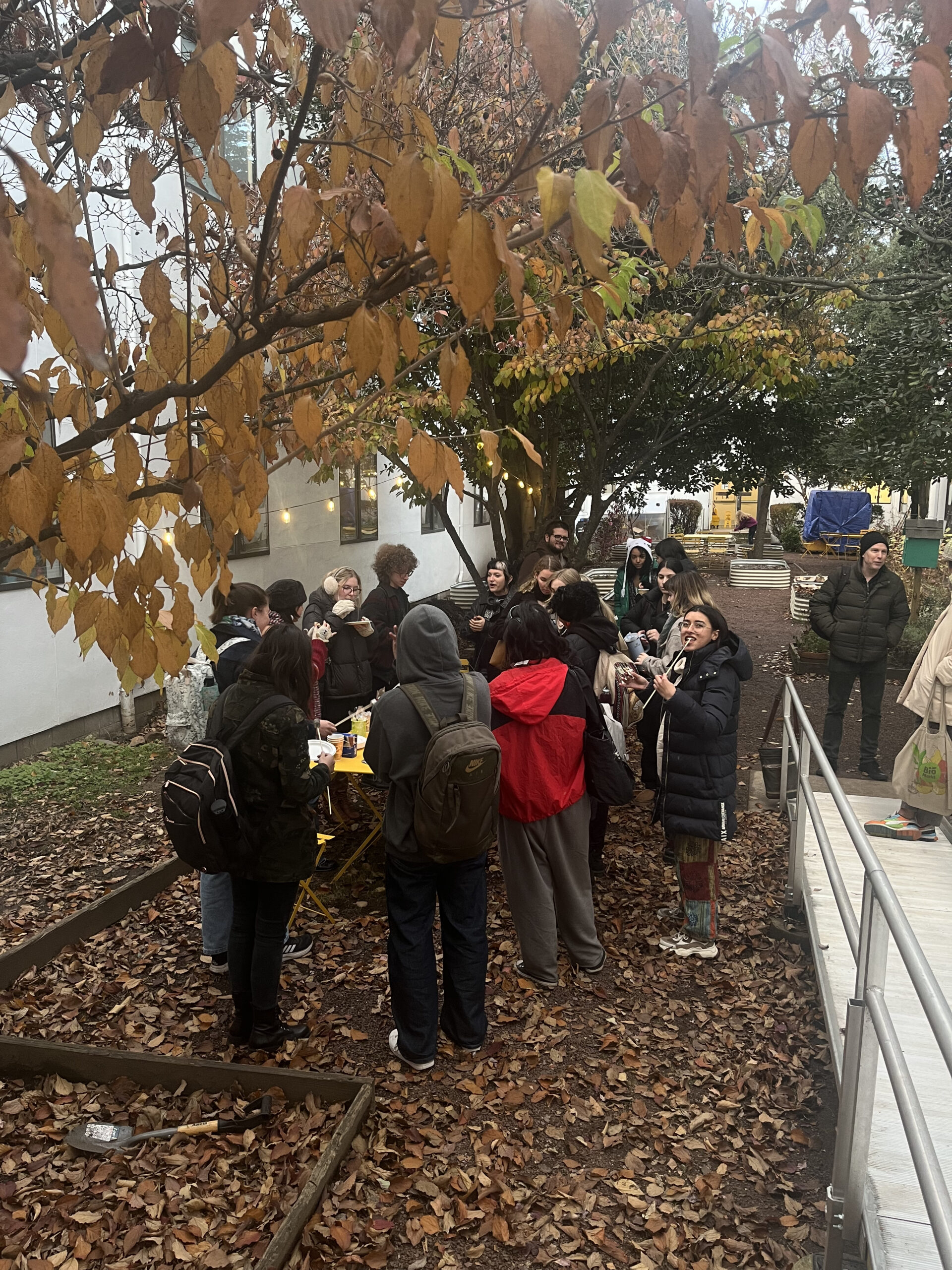 A group of people gathers under autumn trees in a courtyard, socializing around a table covered in drinks and snacks. Many wear jackets and backpacks, and the ground is covered in fallen leaves. Warm string lights hang among the branches above.
