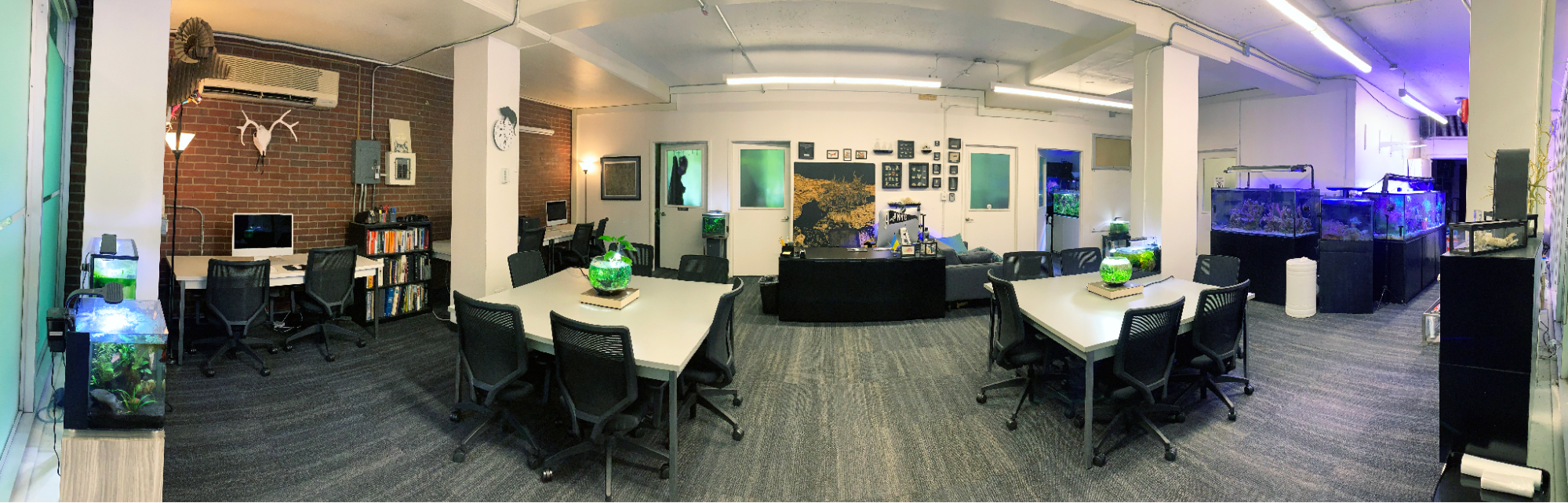 Wide-angle view of a classroom or research lab inside Pratt Institute’s North Hall, featuring desks with computers and chairs, multiple aquariums with green and blue lighting, brick and white walls, and framed artwork and bookshelves along the perimeter.