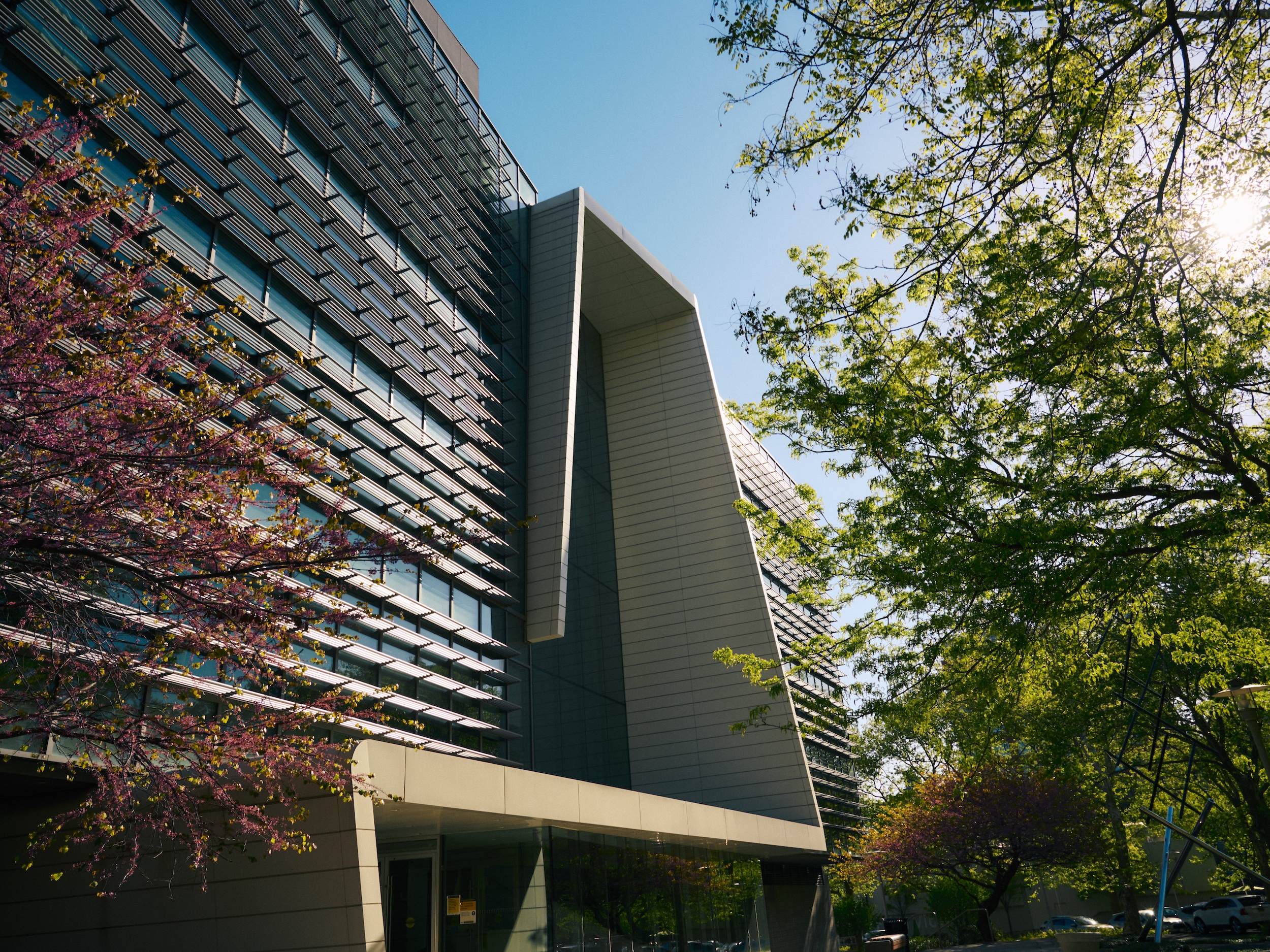 A modern building with a distinctive angular design and a facade of glass and slatted elements. In the foreground, vibrant pink blooming trees and lush green foliage frame the structure, set against a clear blue sky with sunlight filtering through the leaves. The entrance is visible at the bottom, hinting at a welcoming atmosphere.