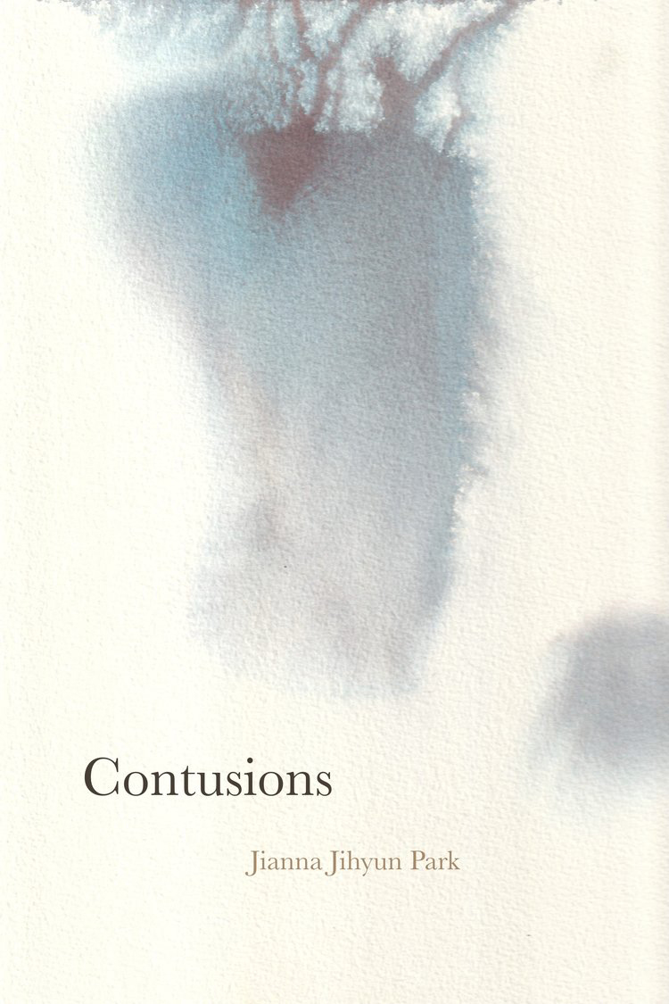 Book Cover for Contusions