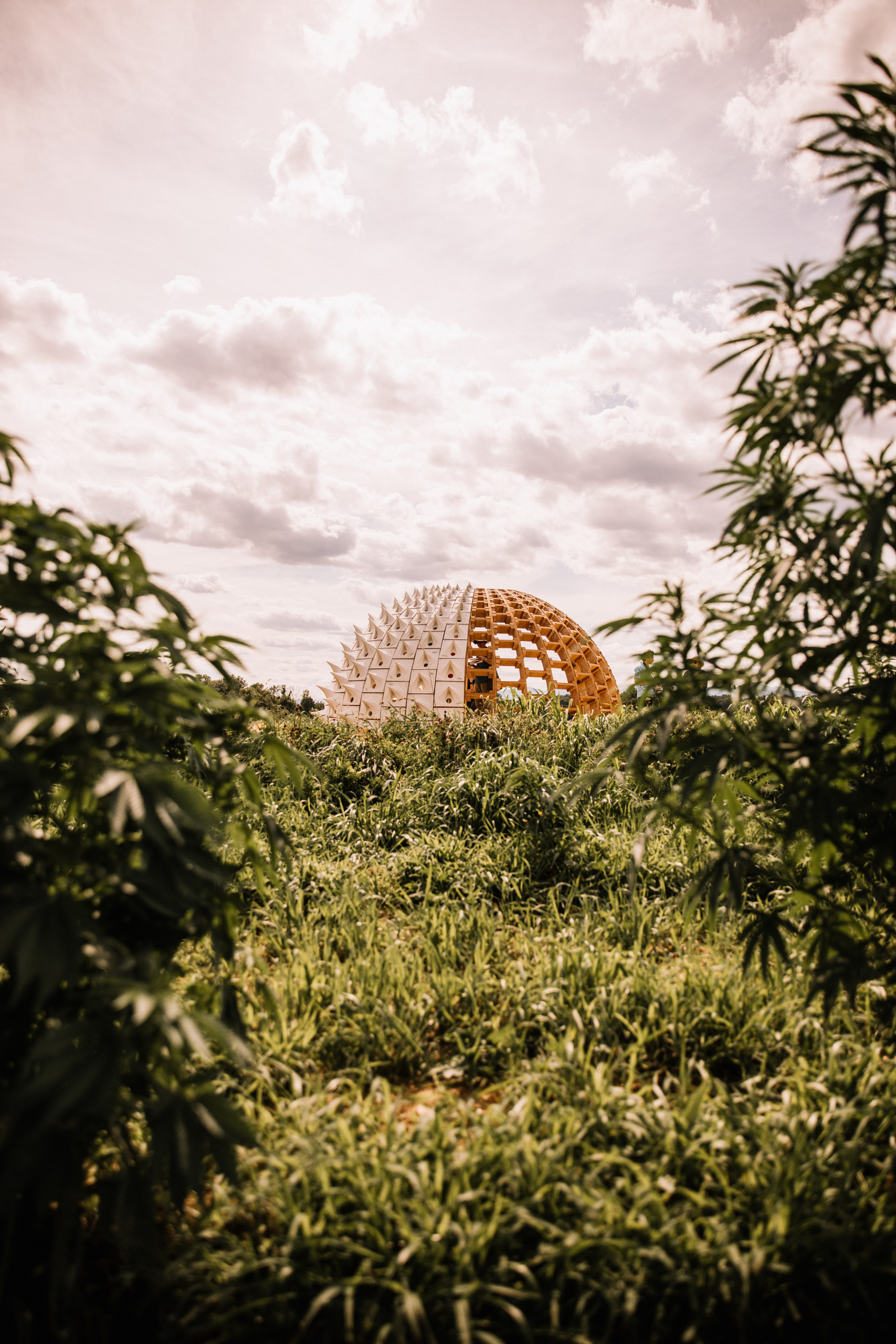 The pollinators dome mid-construction in a lush green field