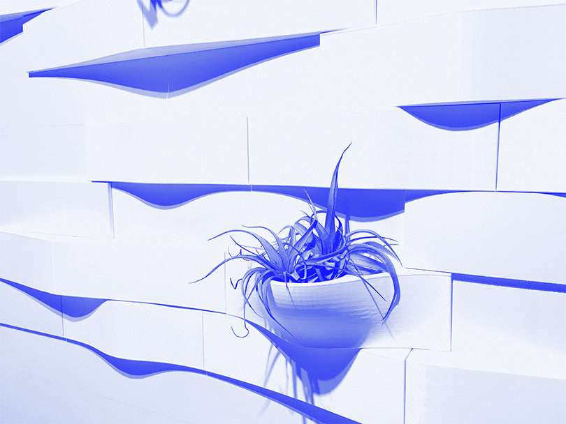 A bathroom wall with wavy tiles and an air plant