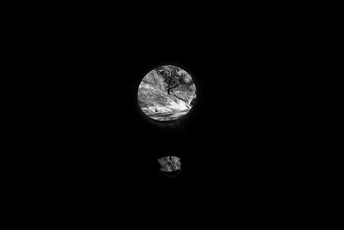 Circle of light within a tunnel shows a woodland landscape