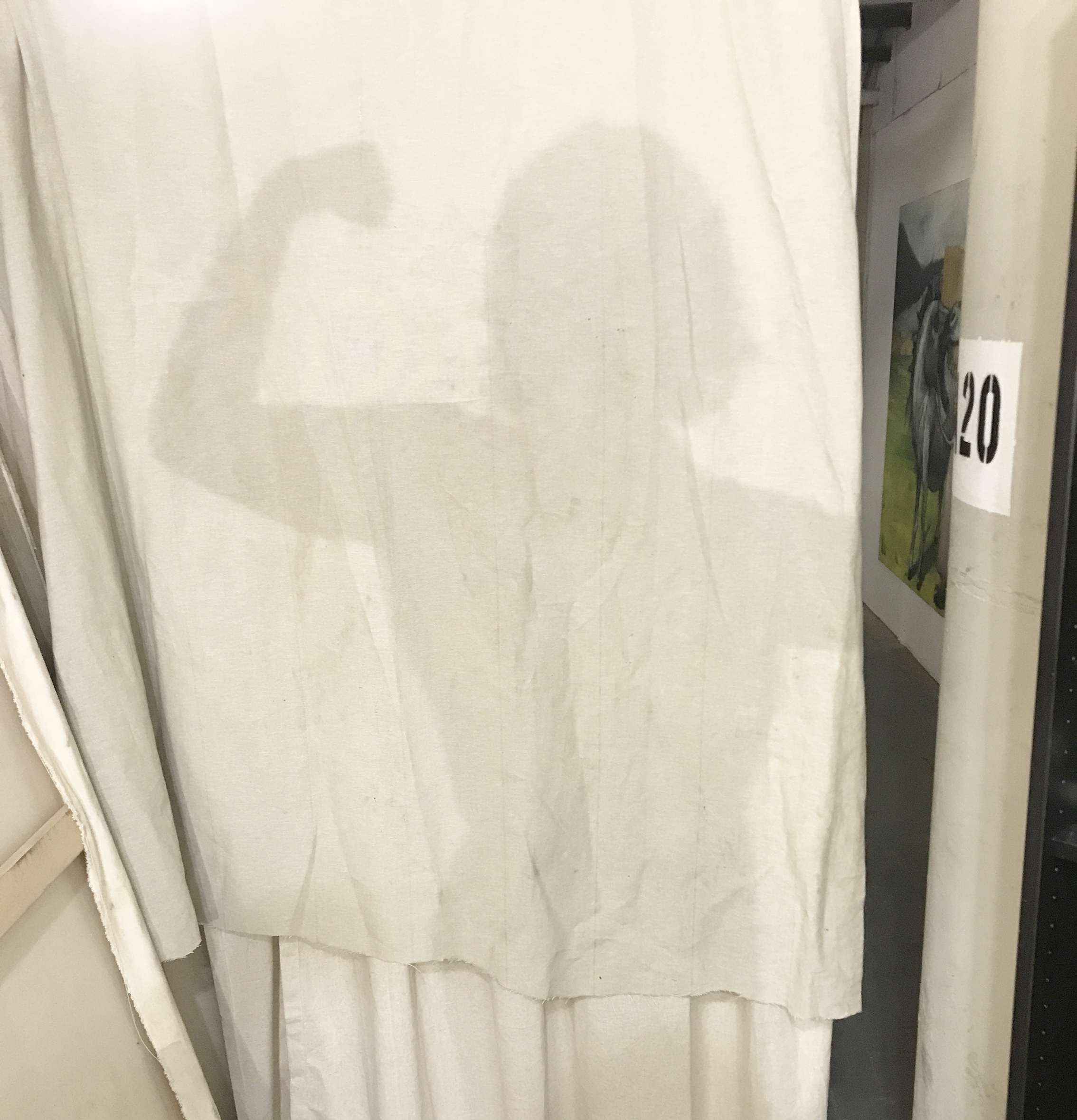 A curtain with a shadow of an arm curled in a biceps flex