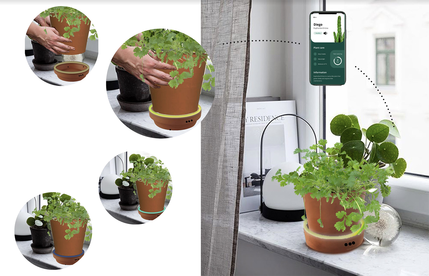 “Sonic Bloom: What If Plants Could Talk to Us?” by Anushritha Yernool Sunil, MID ’22, and Archana Ravi, MS Information Experience Design ’21