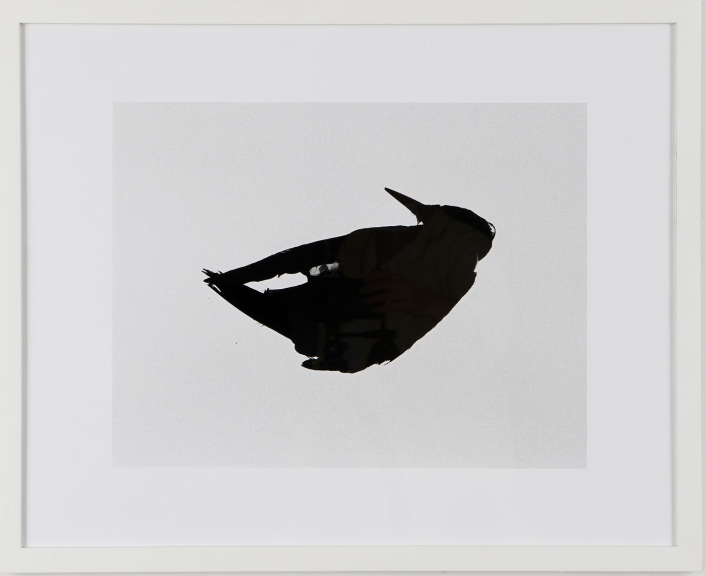 Natalia Petkov, MFA Fine Arts (Sculpture) ’21, “Untitled (frozen bird)” (2021), silver gelatin print, 16 x 20 inches