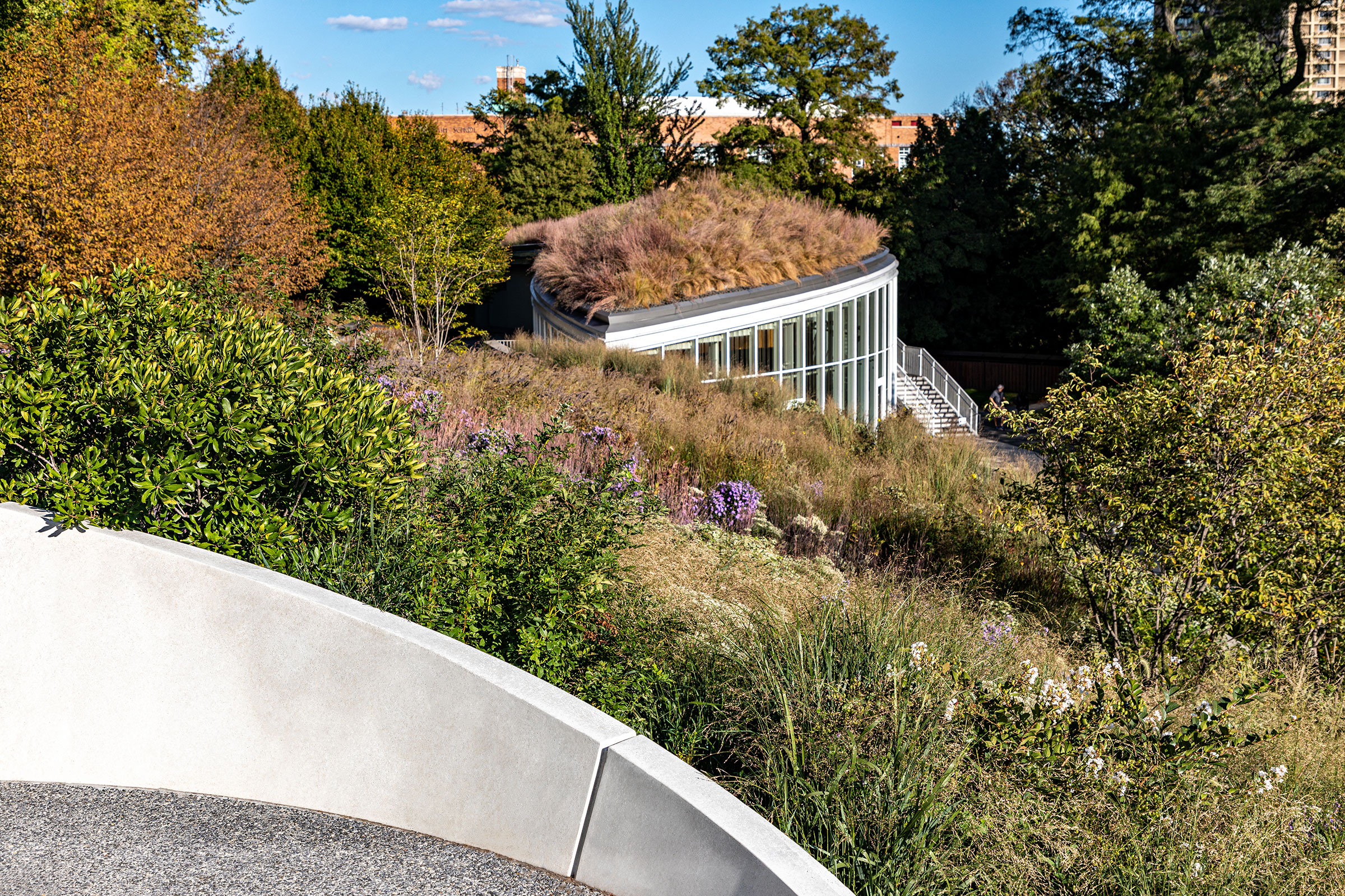 Brooklyn Botanic Garden (photo by Barrett Doherty, courtesy Brooklyn Botanic Garden)