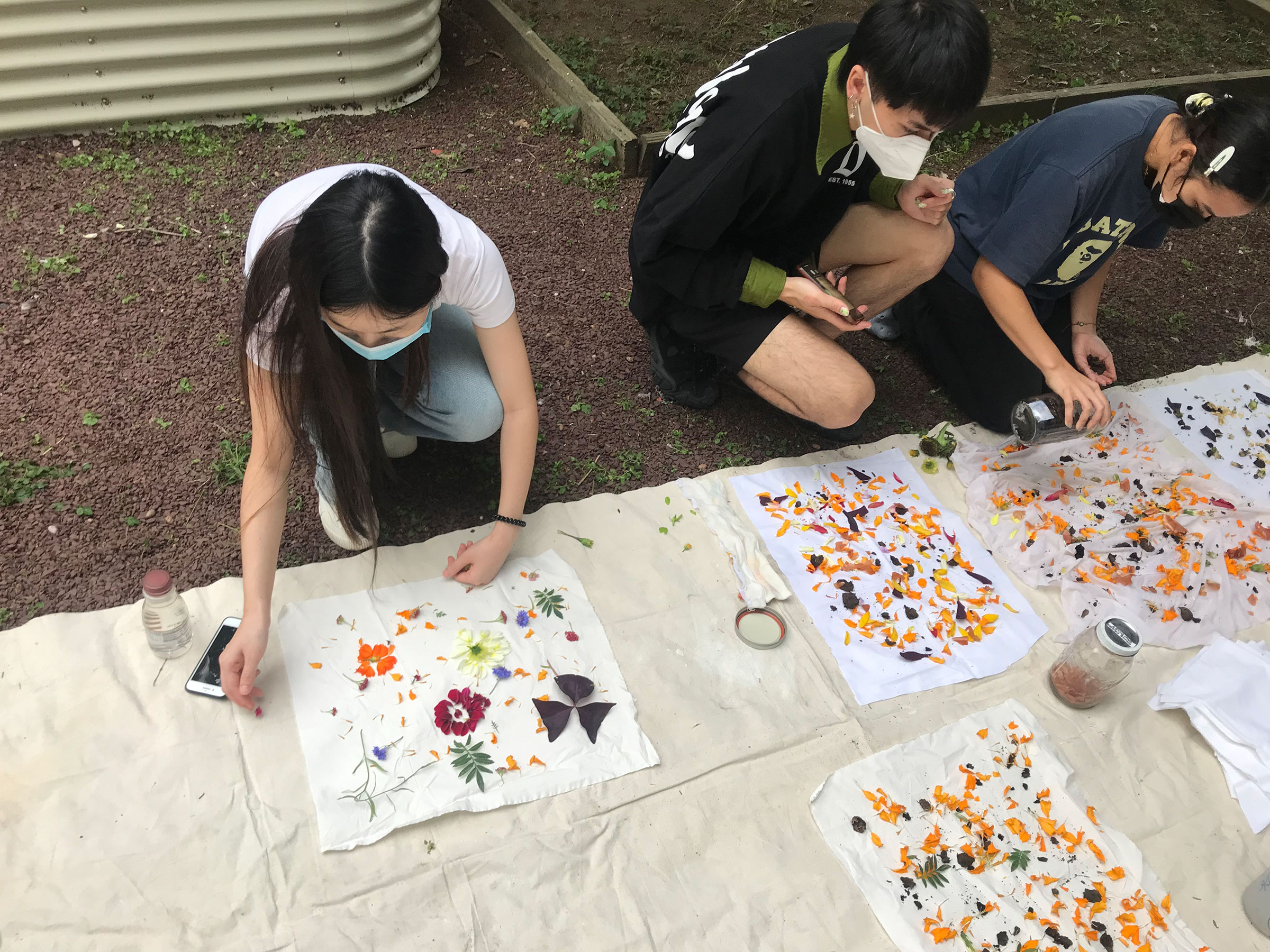 Preparing bundles for dyeing with materials from the Textile Dye Garden