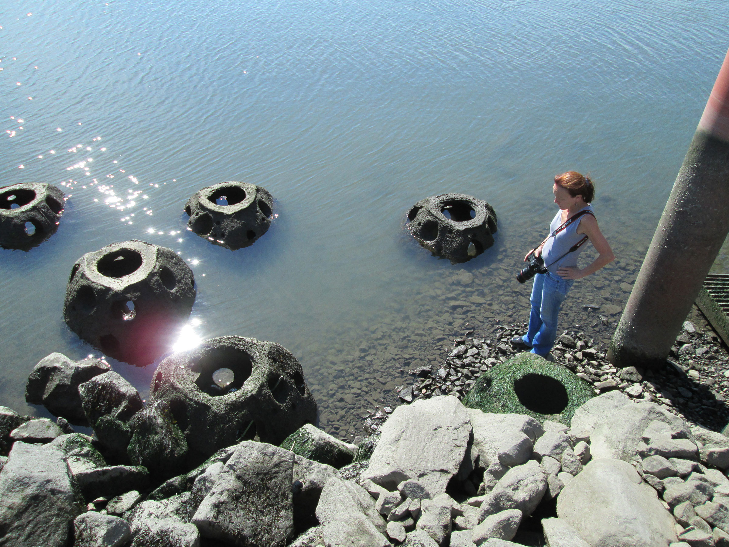MNLA Founding Partner and School of Architecture faculty member Signe Nielsen, FASLA, on site at Hunts Point Landing in the Bronx, New York. Reef balls—an integral part of the park’s design—provide habitat, wave attenuation, and are the last step in a project that created a gently descending sequence of wetland pools excavated out of a once-steep riverbank.