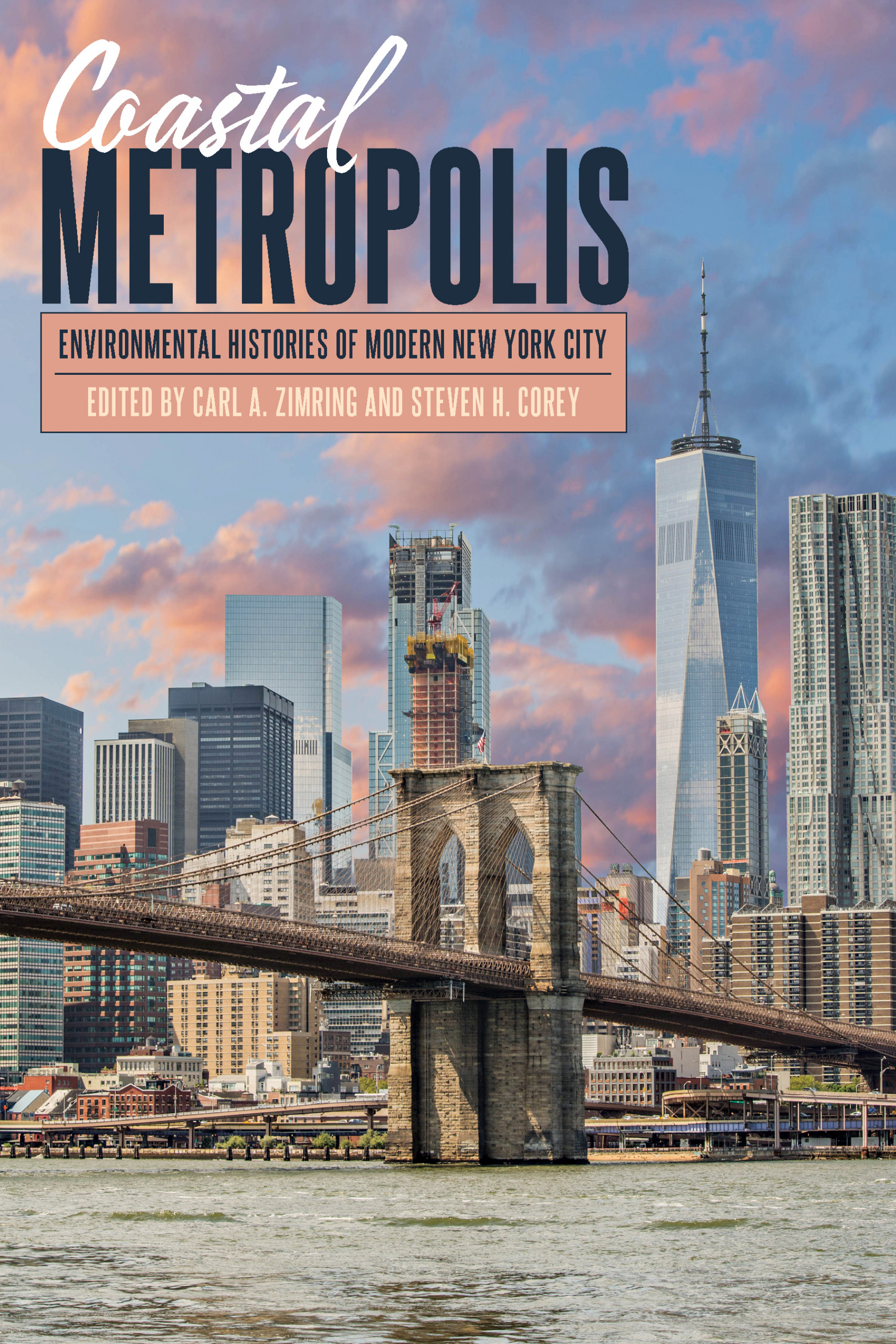 Book cover with Lower Manhattan skyline behind the Brooklyn Bridge spanning the East River