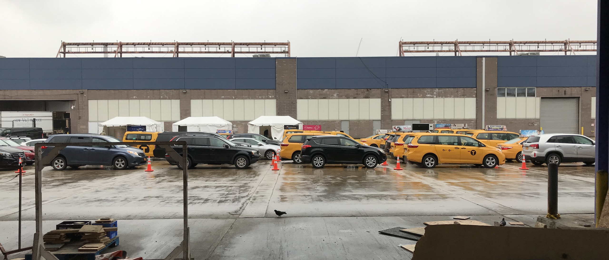 Rows of taxis and cars lined up on a rain-slick city lot