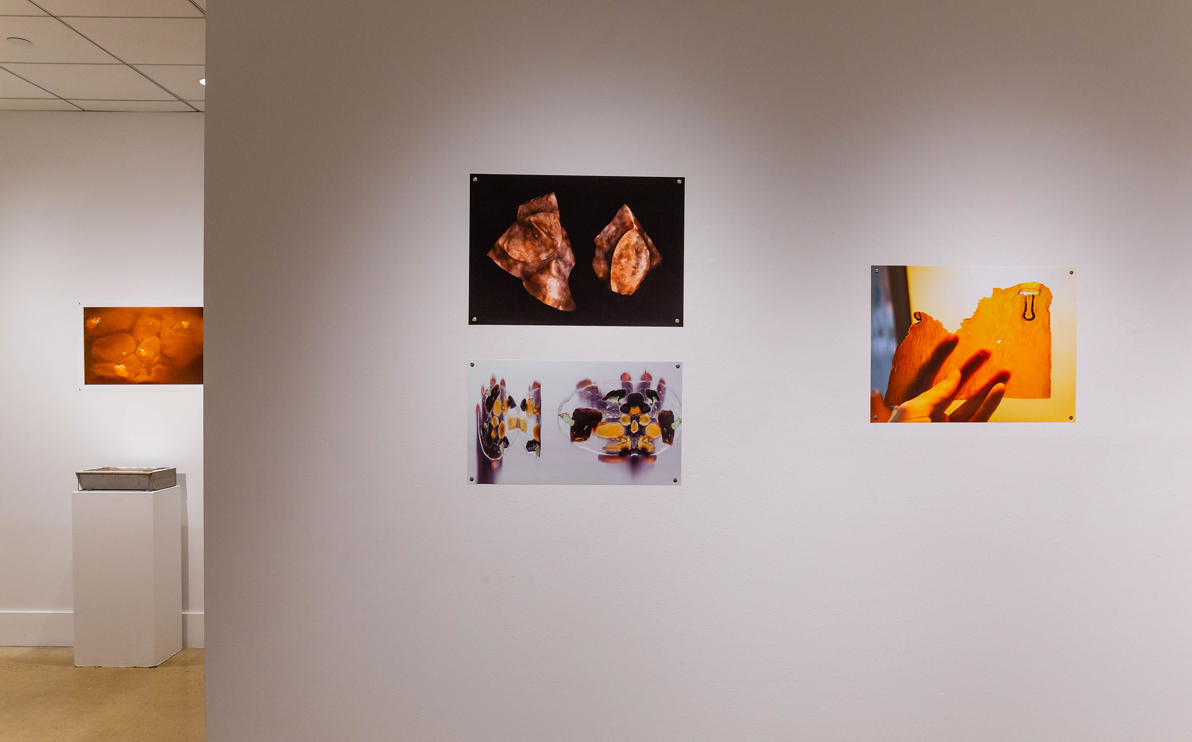 Installation view of ‘Speculative Surfaces’