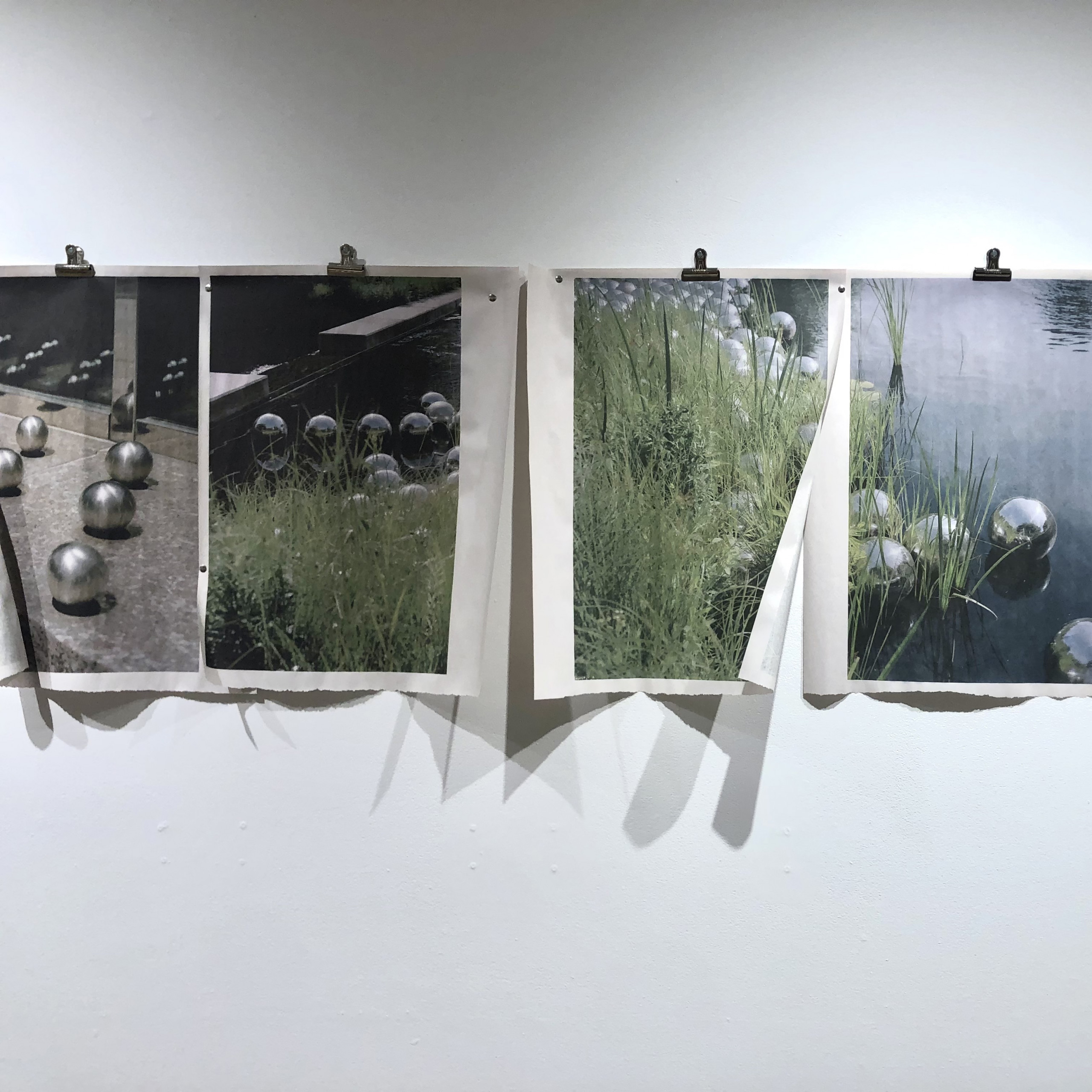 Photo prints hanging on a white wall