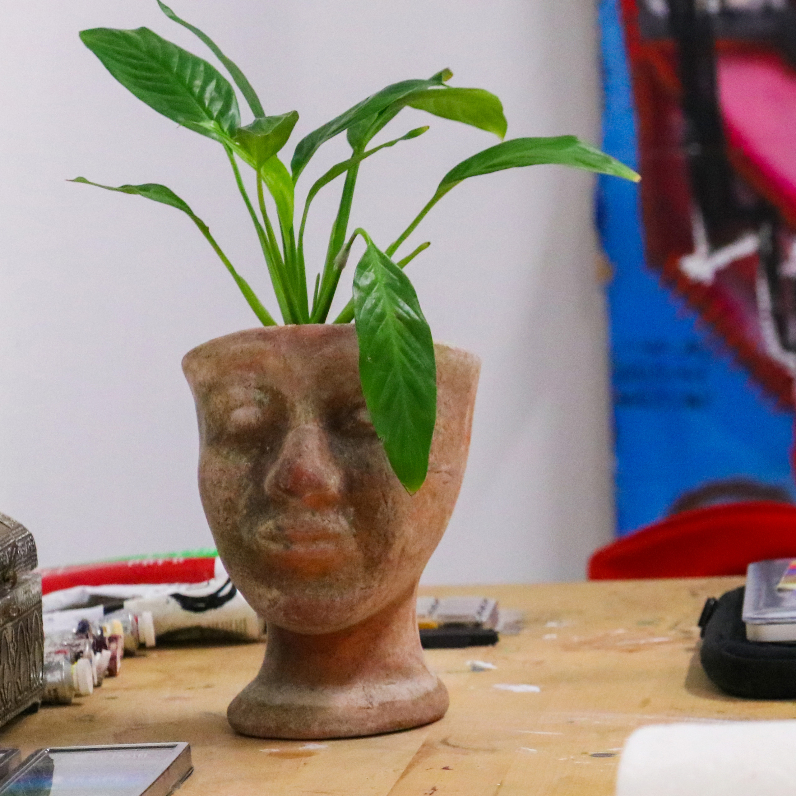 Pot resembling a head holding green leafy plant on a table with artist supplies