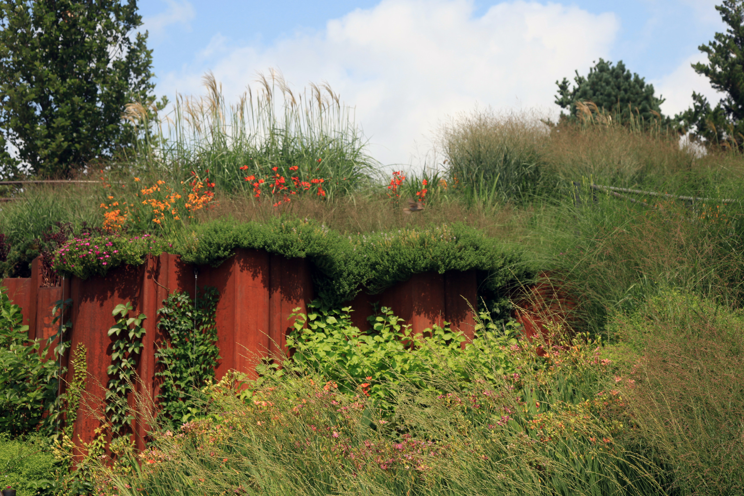 Orange flowers and grasses bloom above rusted iron retaining wall
