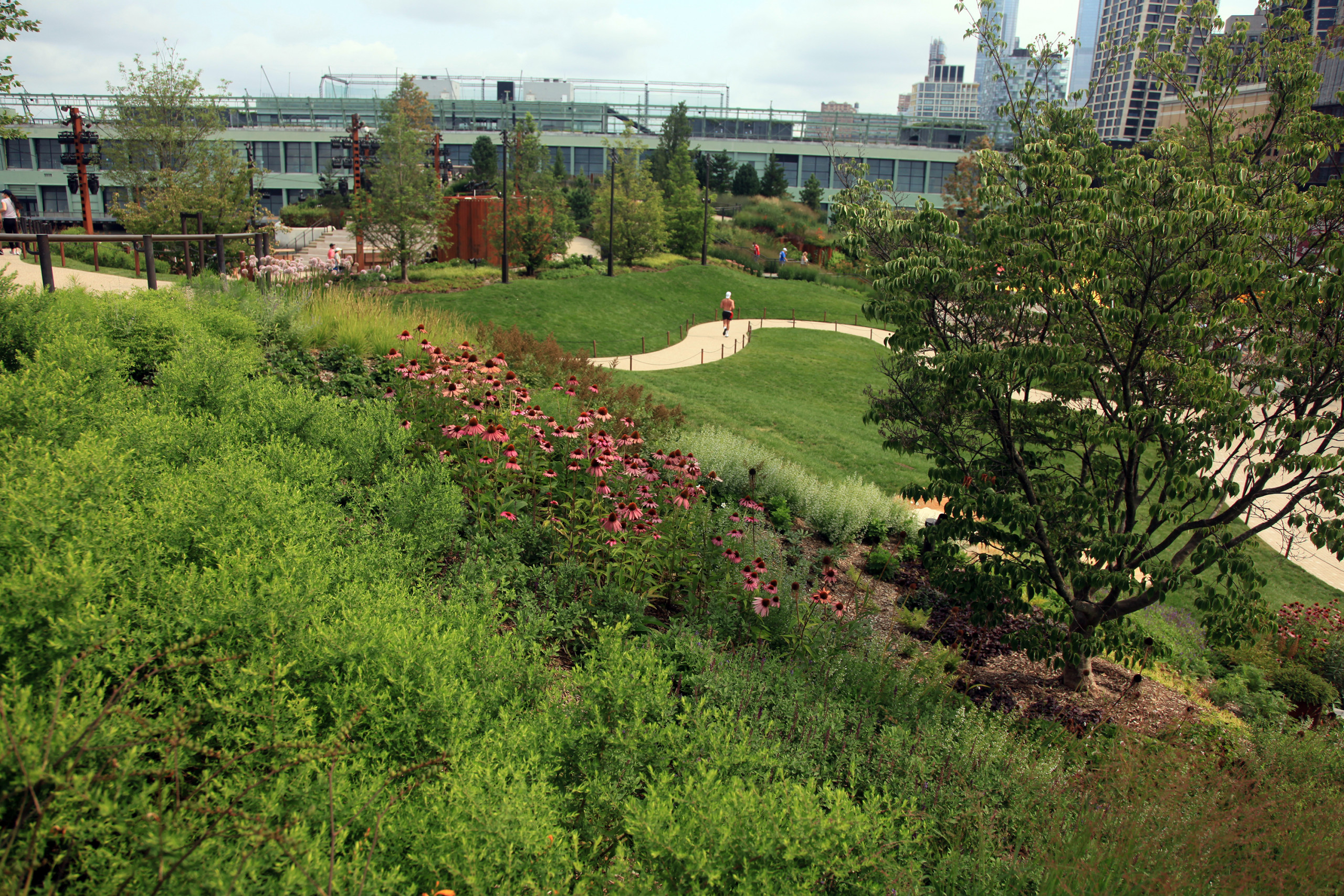 A path winds through lushly planted slopes