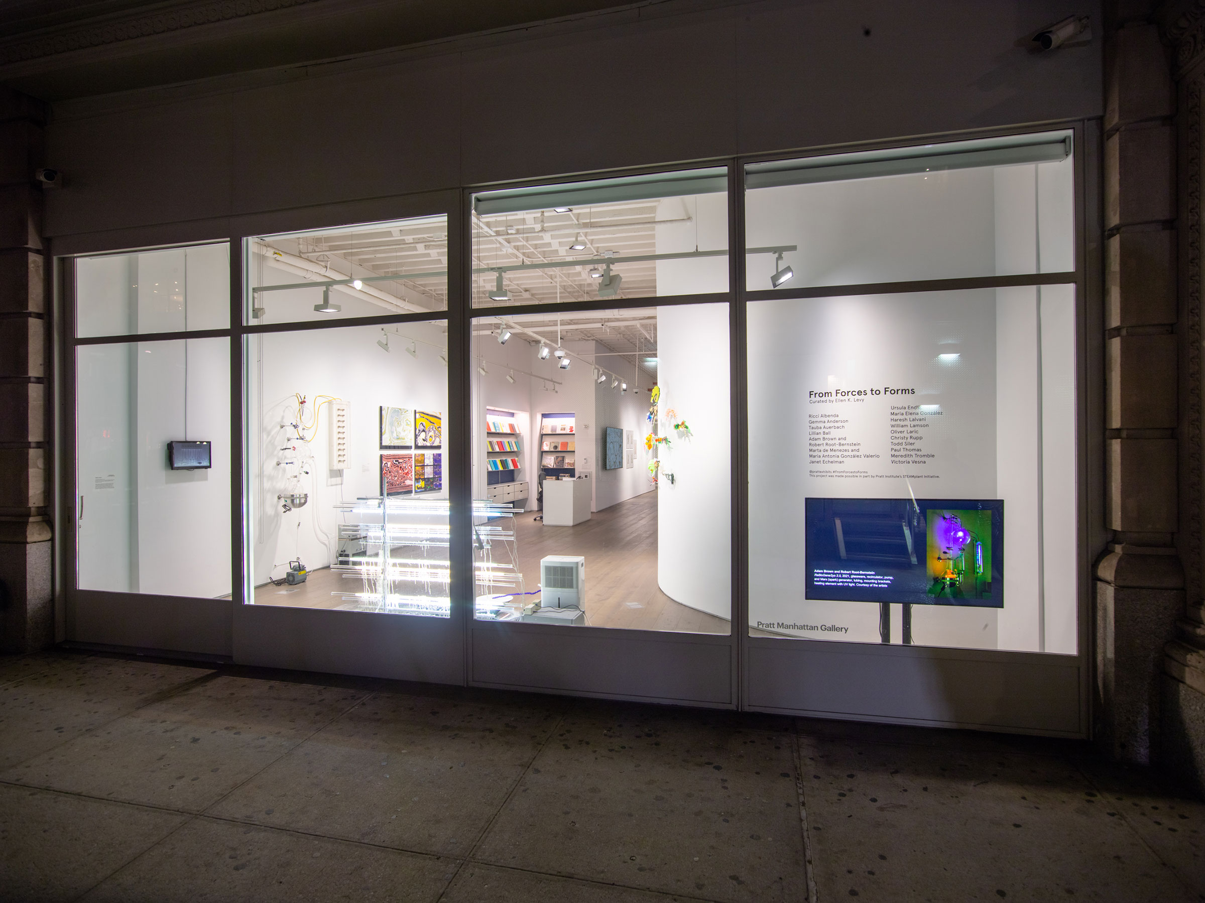 From Forces to Forms, installation view (photo by Jason Mandella Photography)