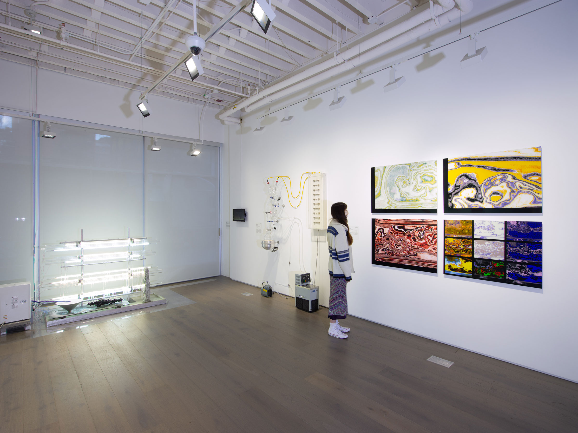 From Forces to Forms, installation view (photo by Jason Mandella Photography)