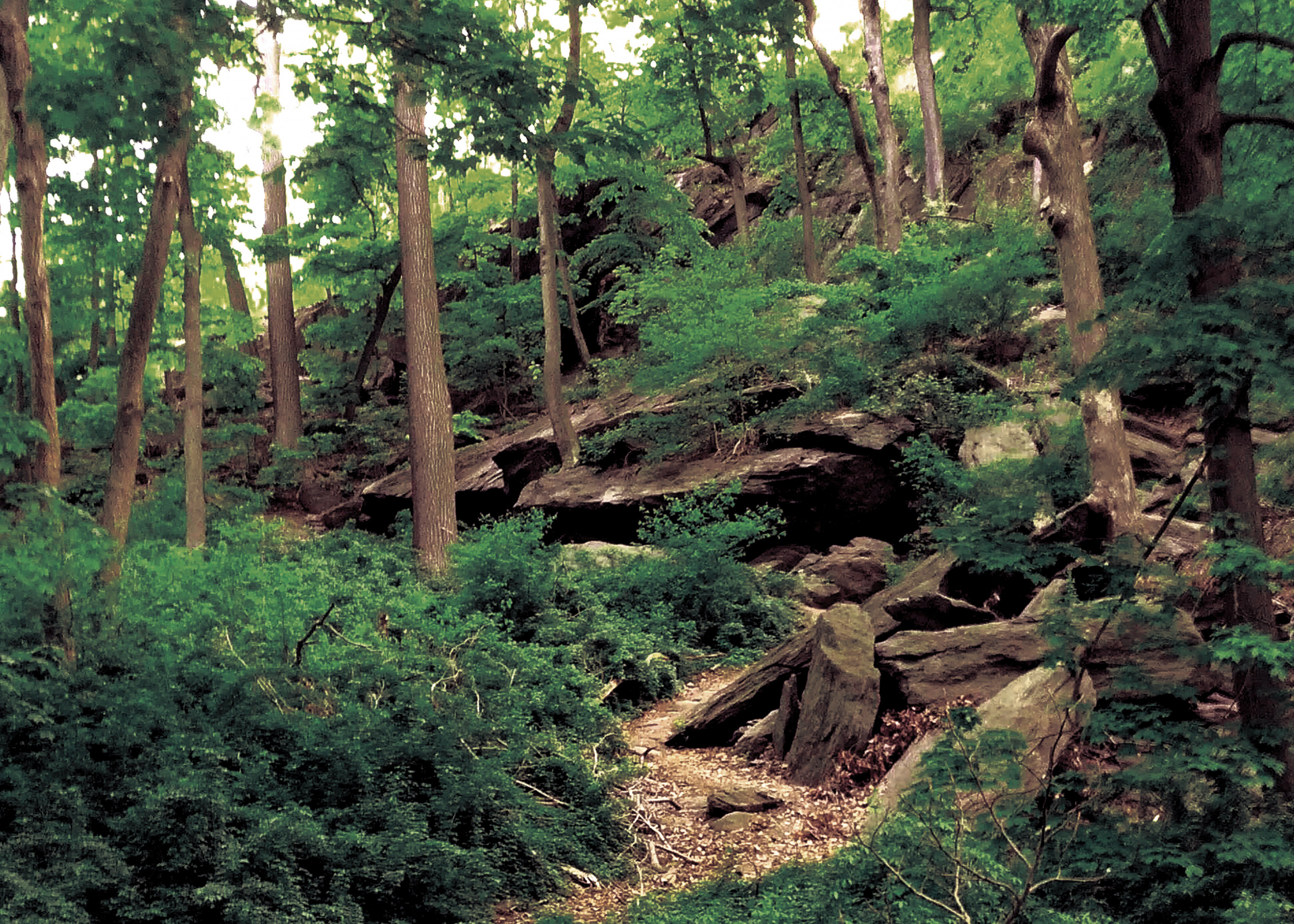 Slope with greenery, deciduous trees, and rocky hillside caves