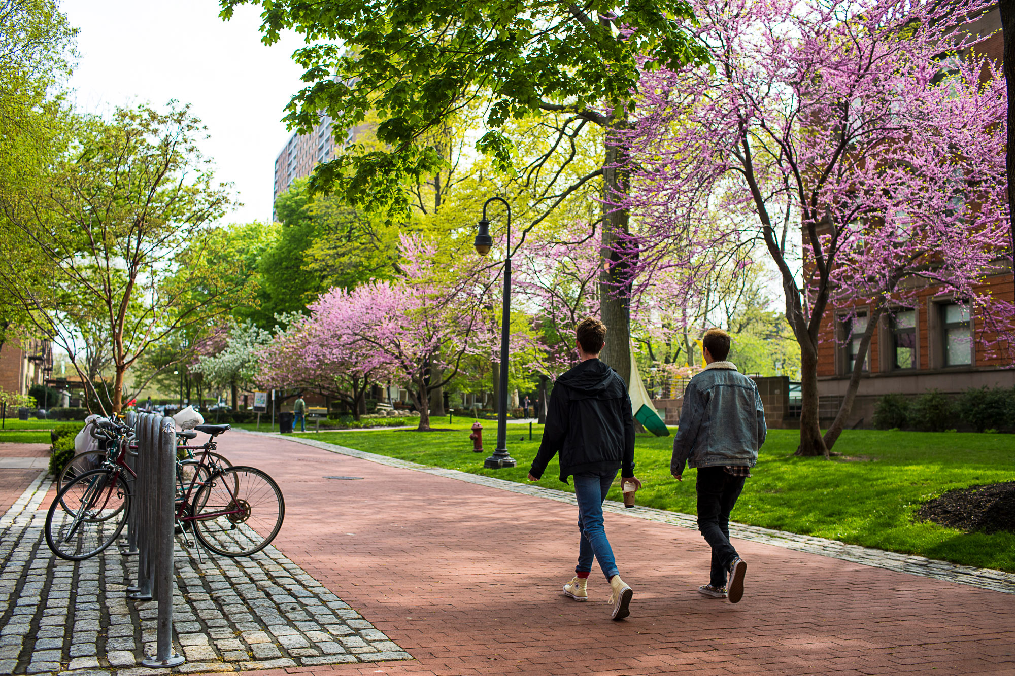 Pratt Institute's Brooklyn campus in spring