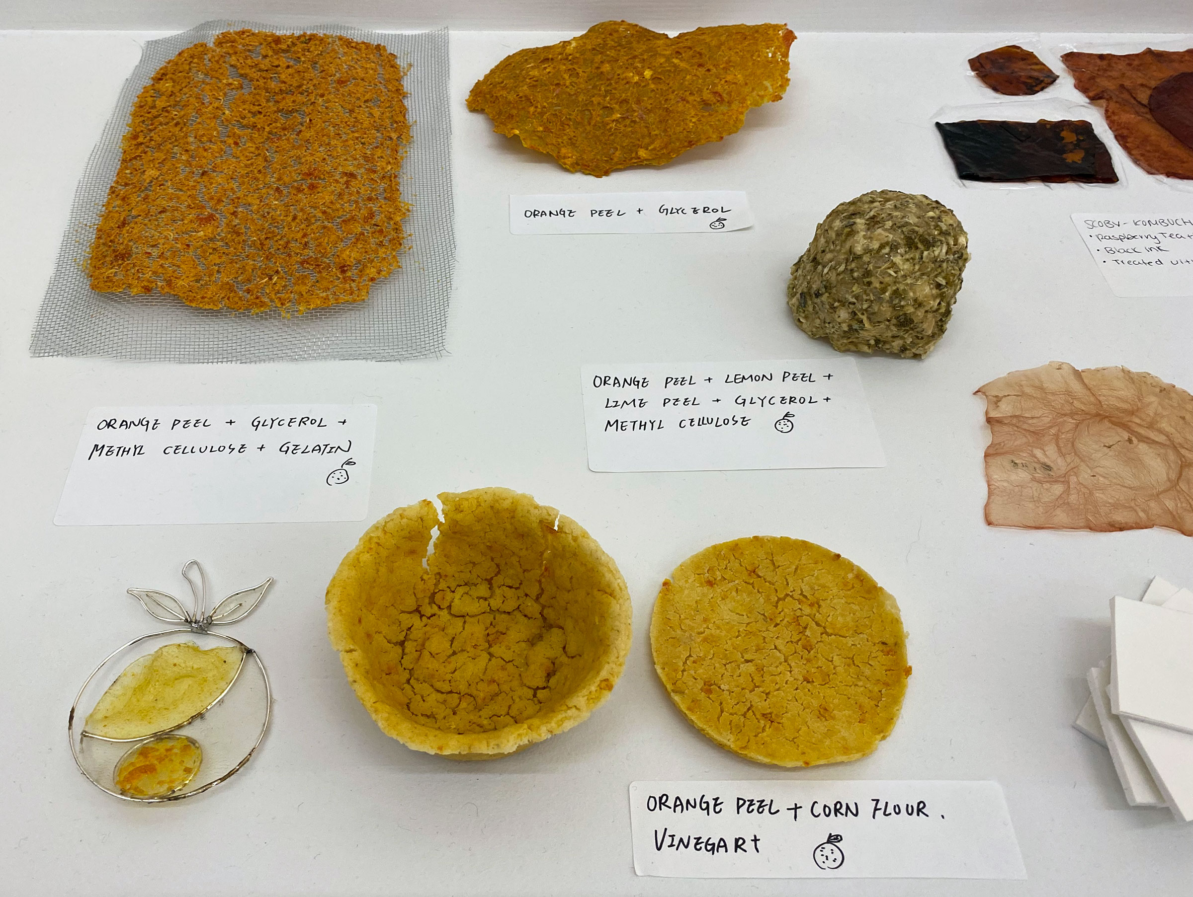 Student work in the Biomaterials Exhibition (photo by Eric O'Toole)