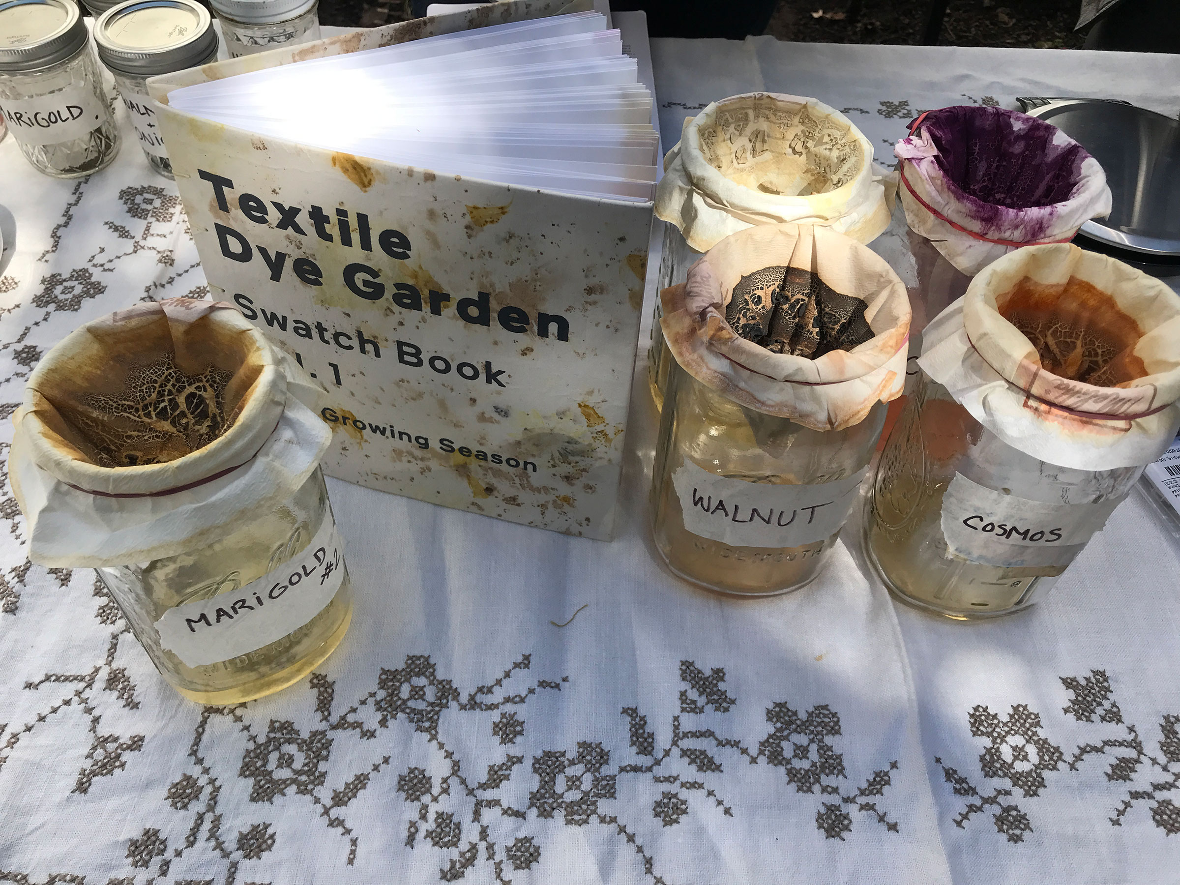 Materials used for natural dyes at the Textile Dye Garden Event (photo by Ana Codorean)