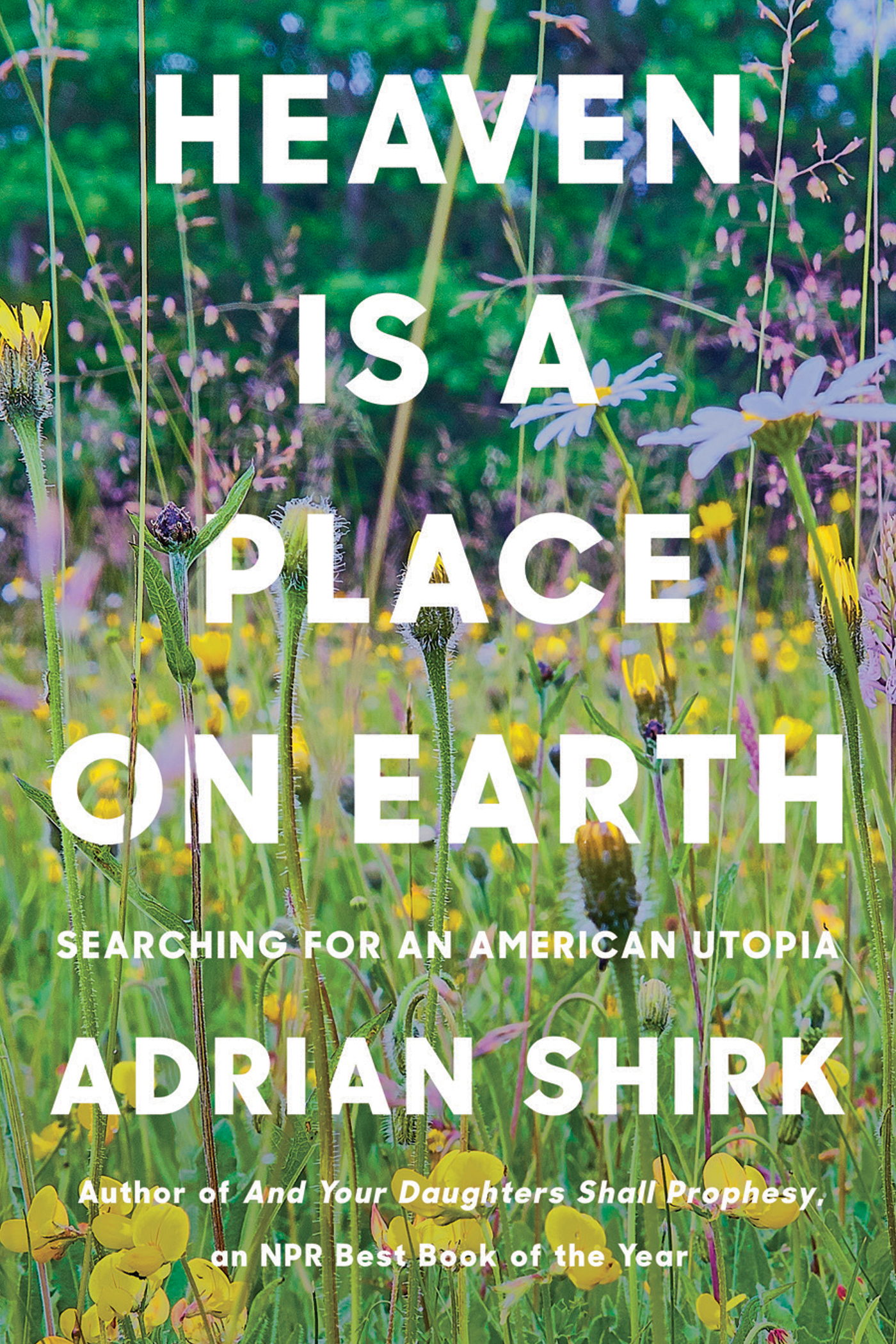 Book cover with sunlit field of wildflowers