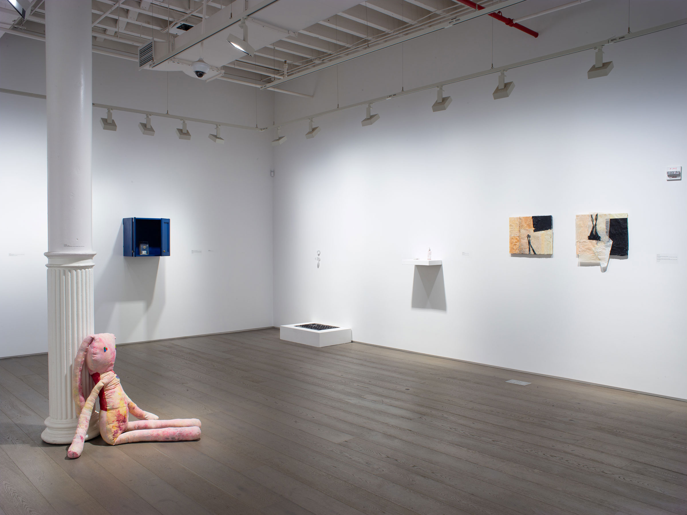 Installation view of ‘Chromotherapy in an Age of Doubt’ (photo by Jason Mandella Photography)