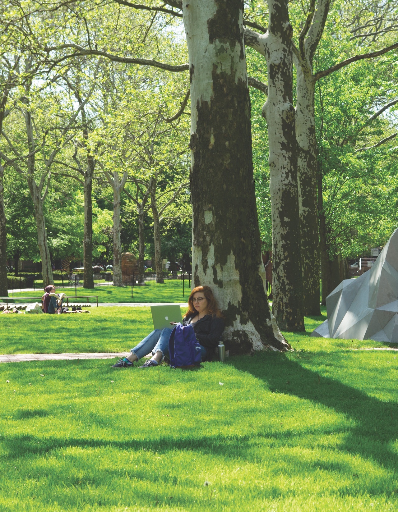 student sitting under tree, on pratt campus