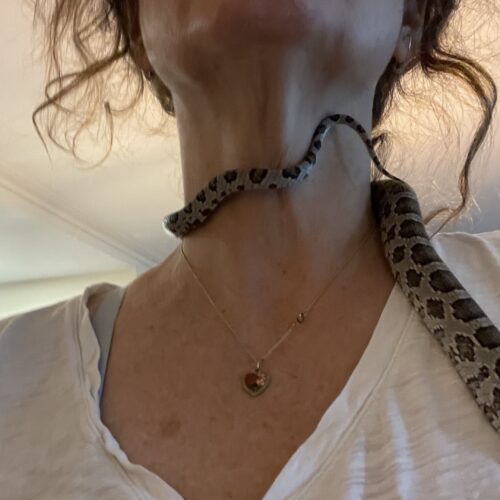 A snake is wrapped around someones neck