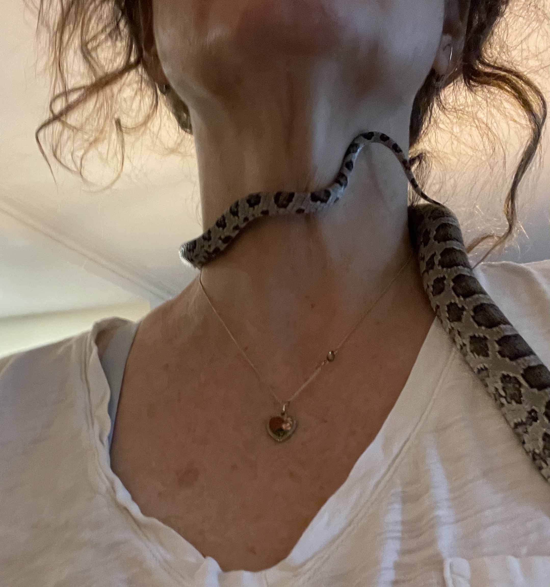 A snake is wrapped around someones neck