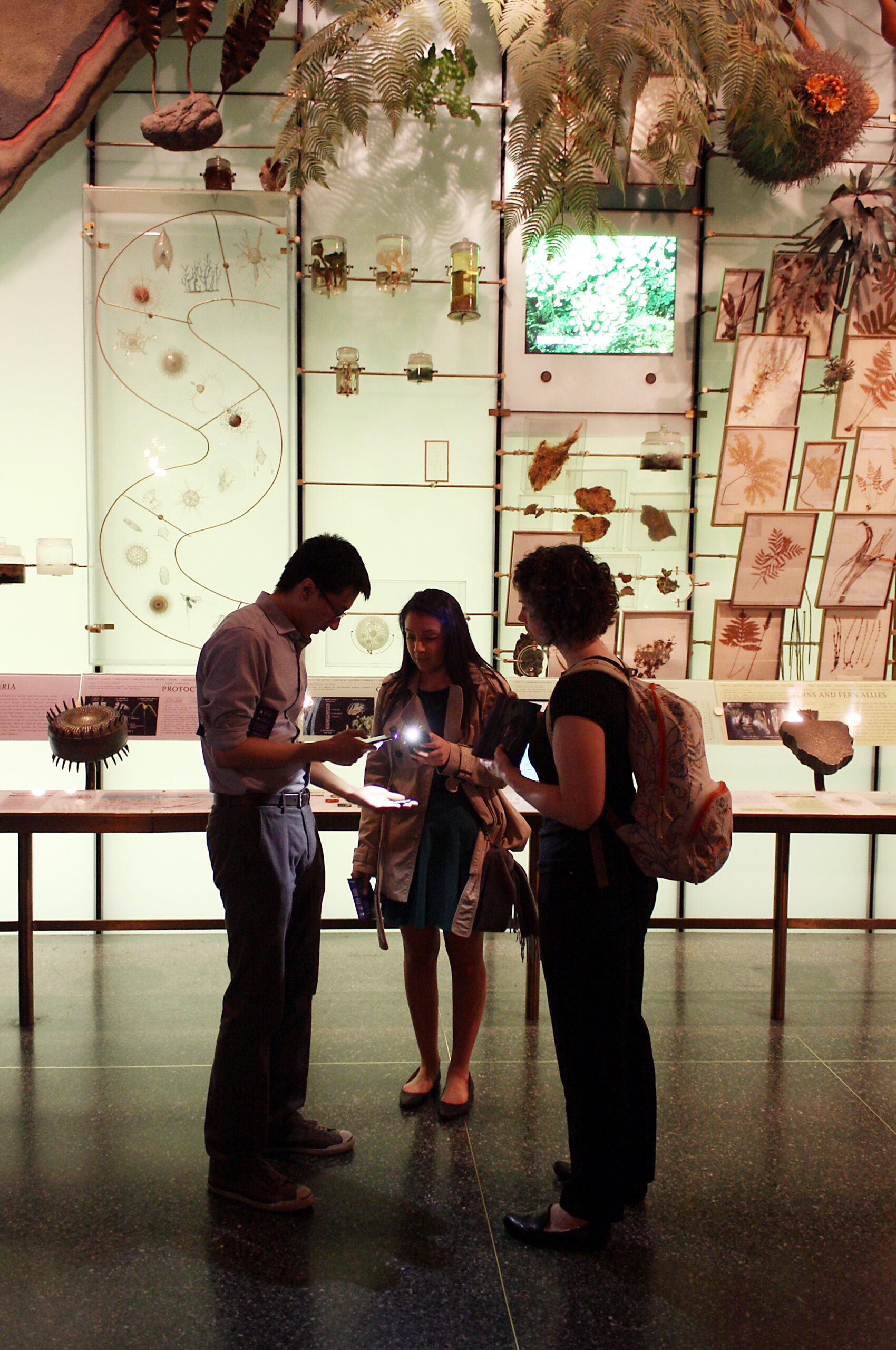 Three people are standing in a dimly lit museum or exhibit space, examining something on their phones or a device that emits light. The background features a variety of framed botanical specimens, jars with preserved samples, and ferns hanging from above, creating an atmosphere of scientific exploration and curiosity. The individuals are engaged in conversation or analysis, contributing to a collaborative and educational setting.