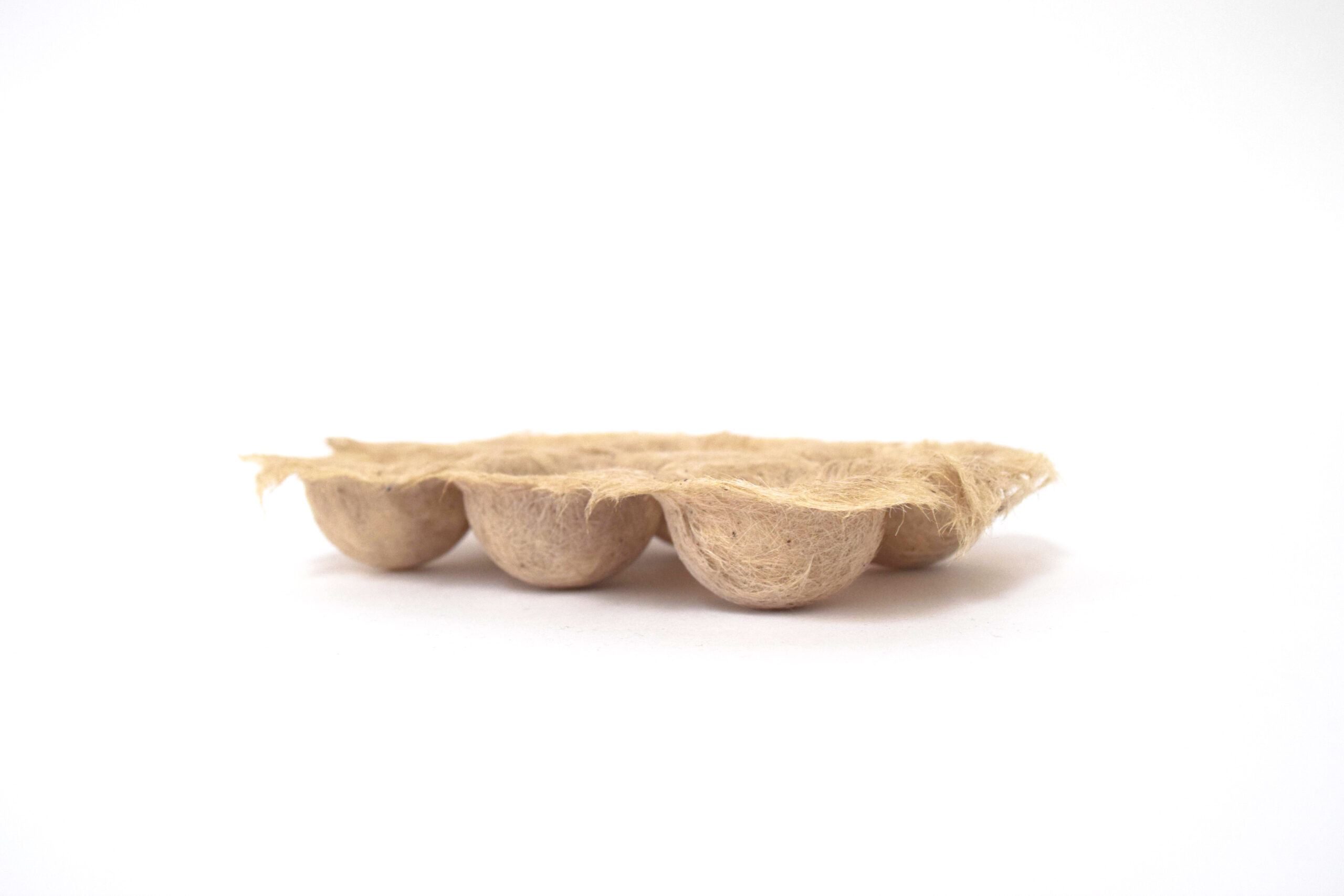 design of egg carton, made of recyclable paper