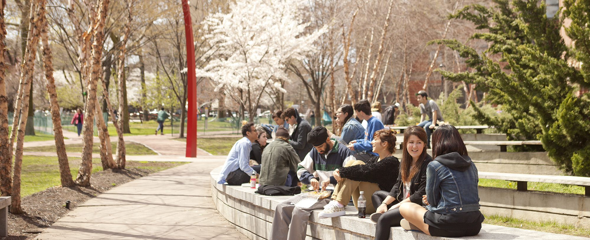 A group of students sit on a stone railing by a path in a park. There are cherry blossoms in the background.
