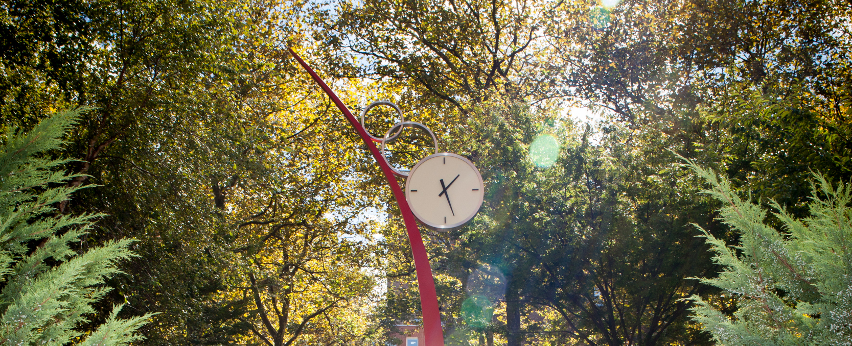 Image of metal sculpture forming a clock taken from a really low angle and showing a forest canopy above.