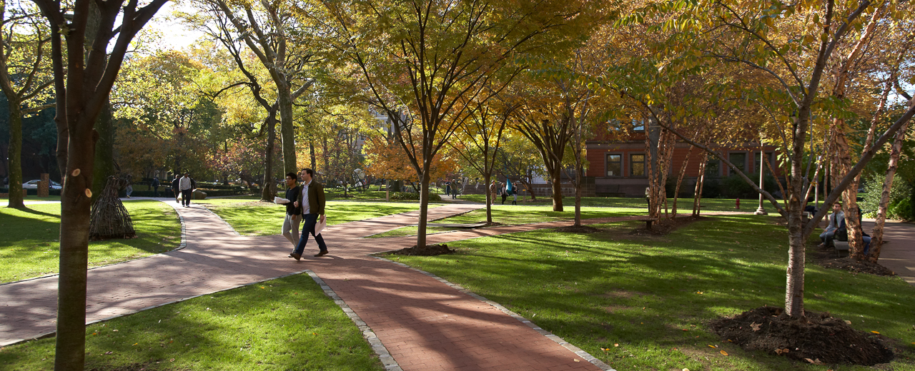 Panoramic image of a campus quad with red brick paths and fall colored trees.