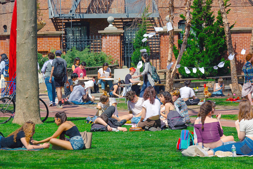 Student lounge in a grassy field during a sunny day.