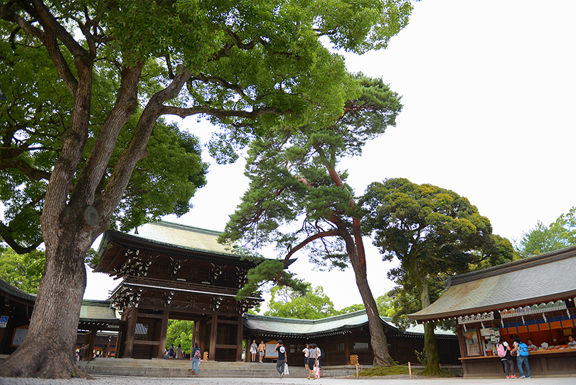 An image of a Japanese garden with a pagoda in the background.