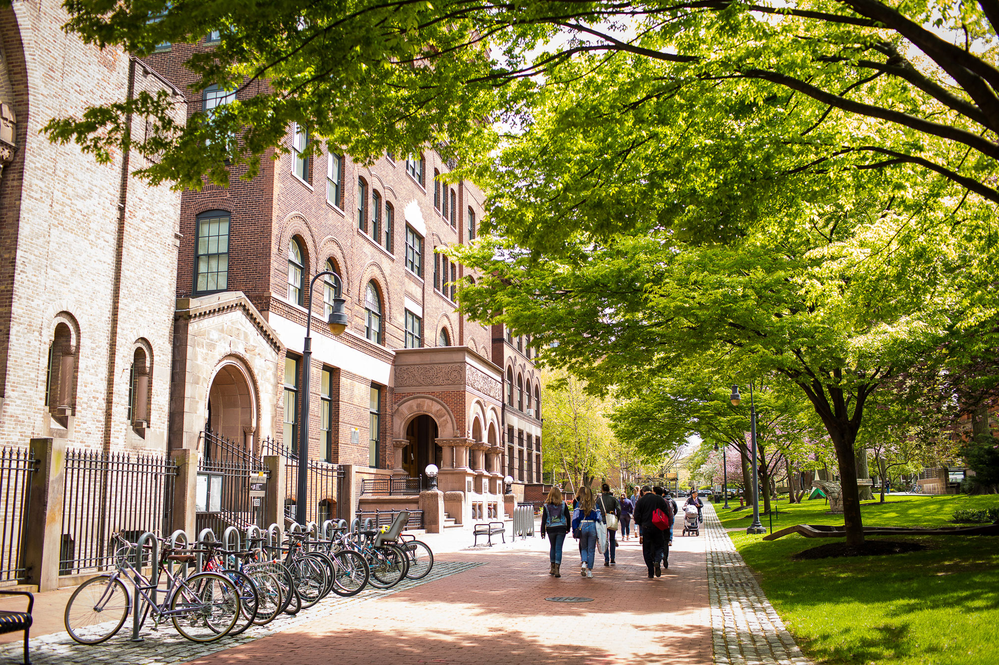 A group of students walks on a brick path through campus. Main Hall is to their left and a bike rack is full of bicycles. Large trees to the right of the walk provide shade.