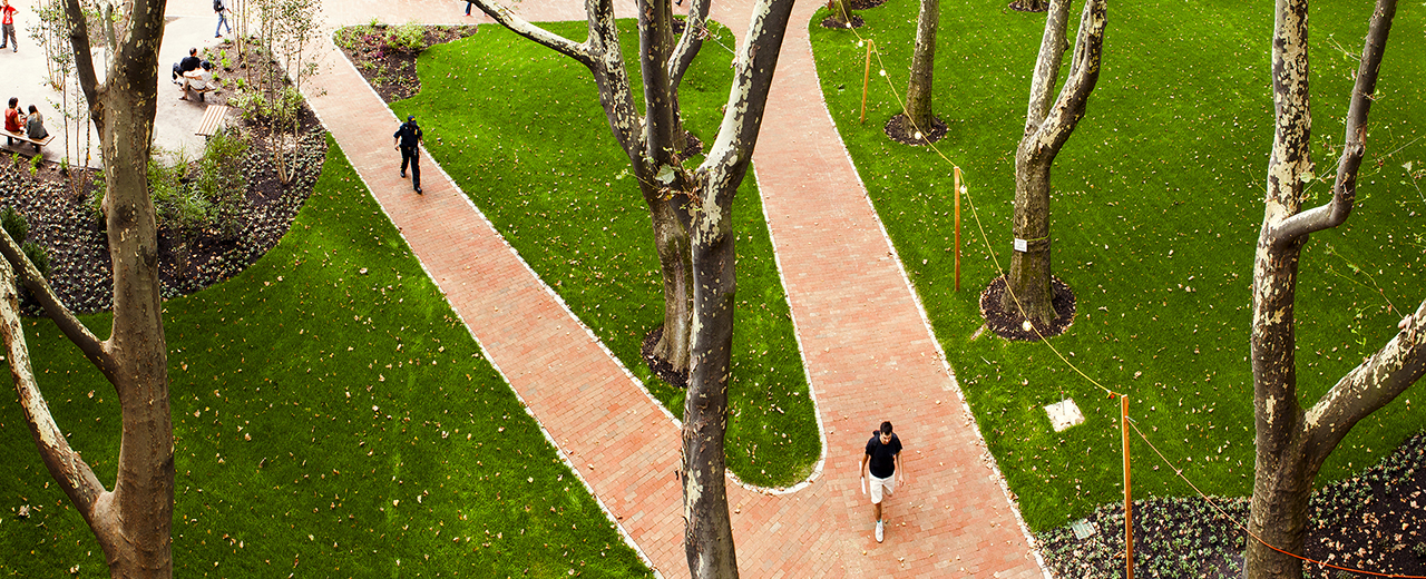 image of pratt institute