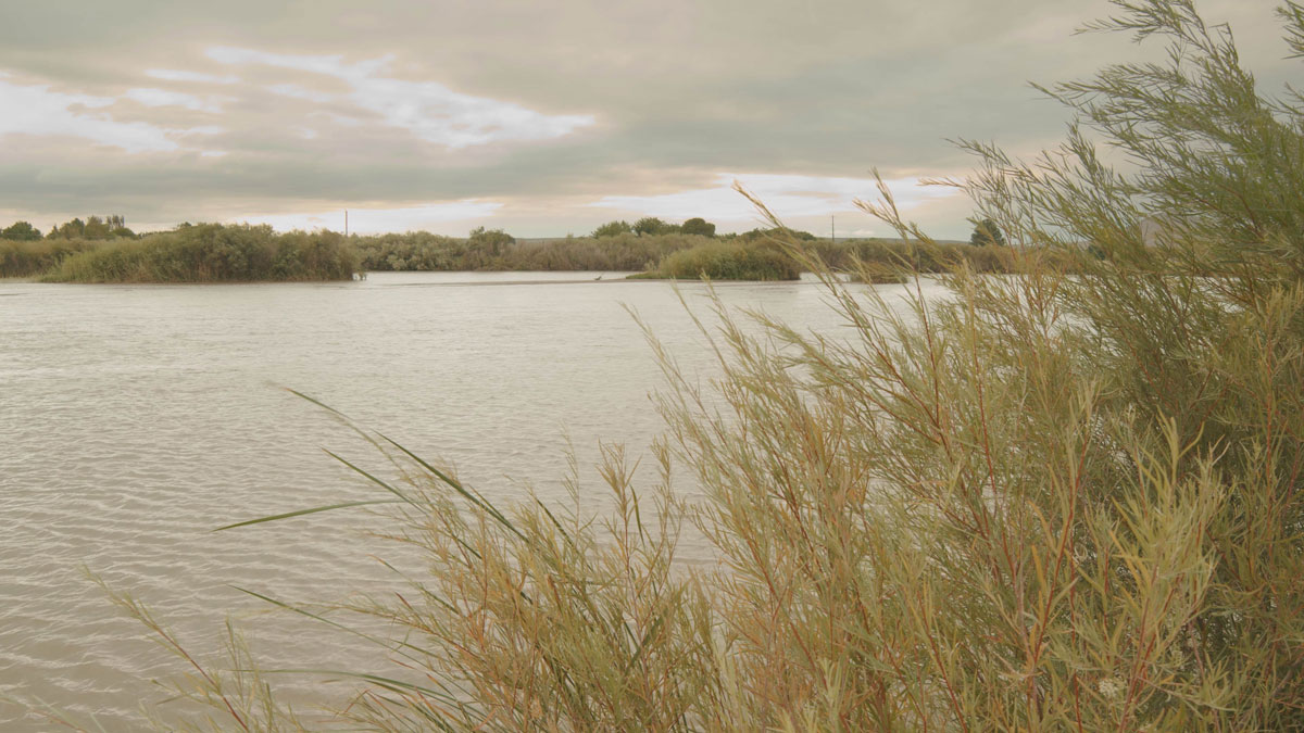 View from the edge of the Rio Grande river
